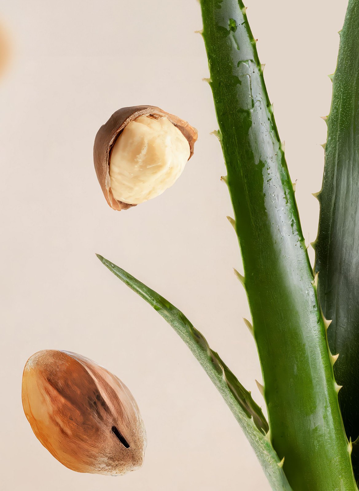 Lip Balm - Teddy RITUALS No color