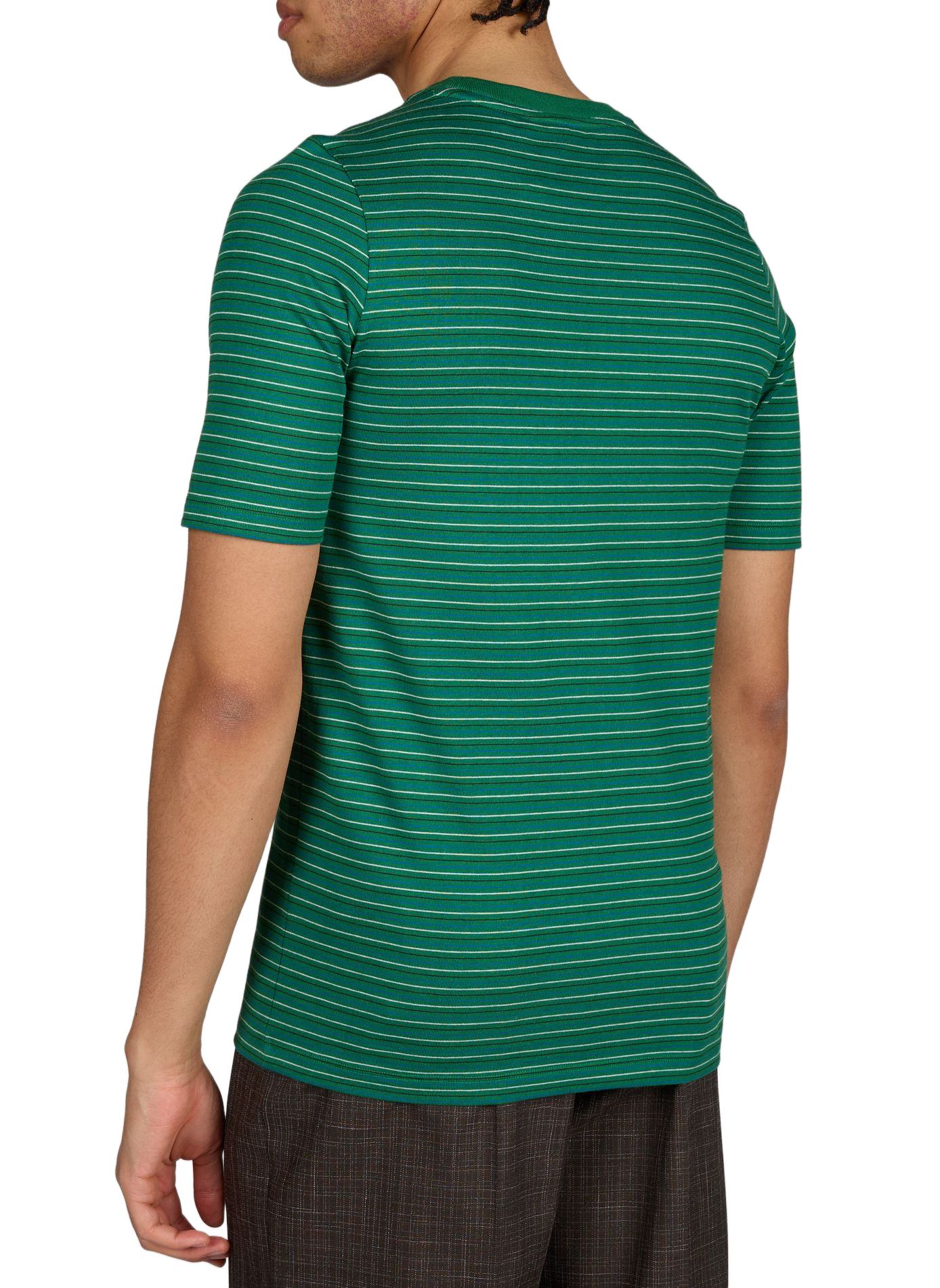 T-shirt à rayures en coton LACOSTE Vert