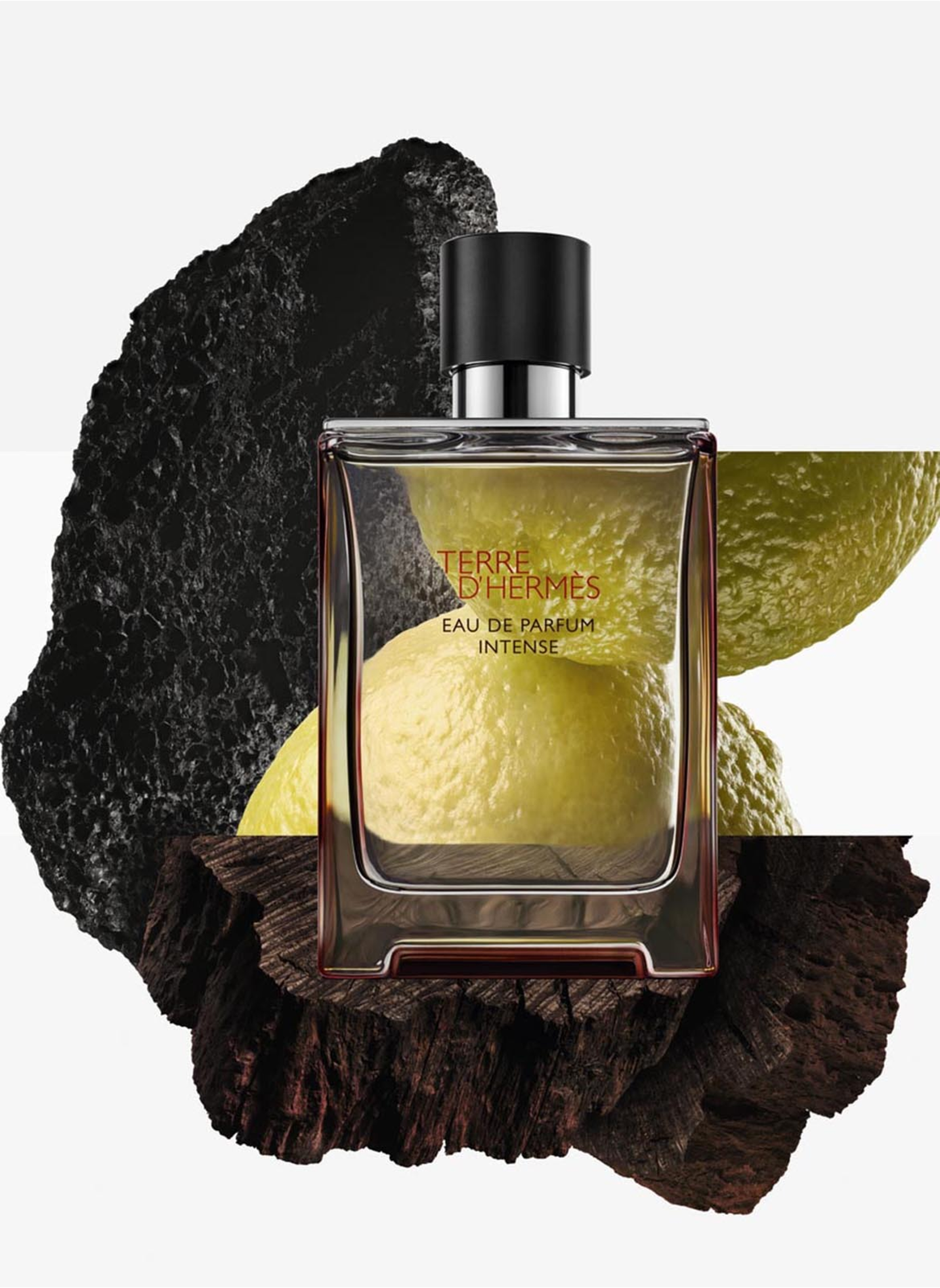 Terre d'Hermès, Eau de Parfum Intense vaporizzatore da viaggio 30 ml e ricarica 200 ml HERMÈS No color