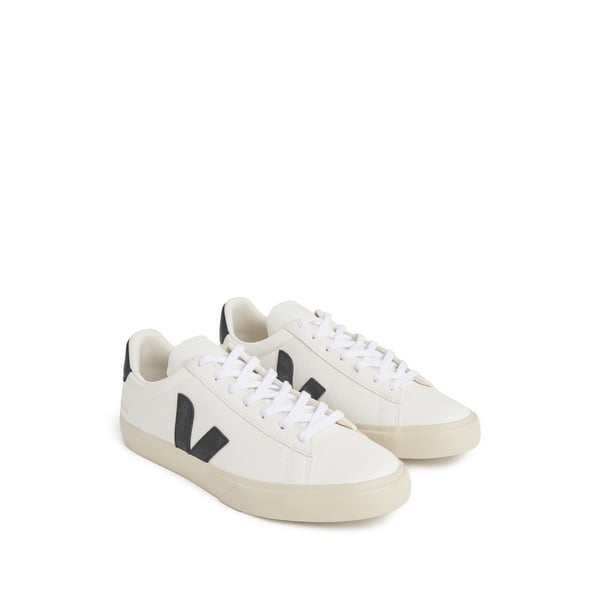 Baskets Campo en cuir