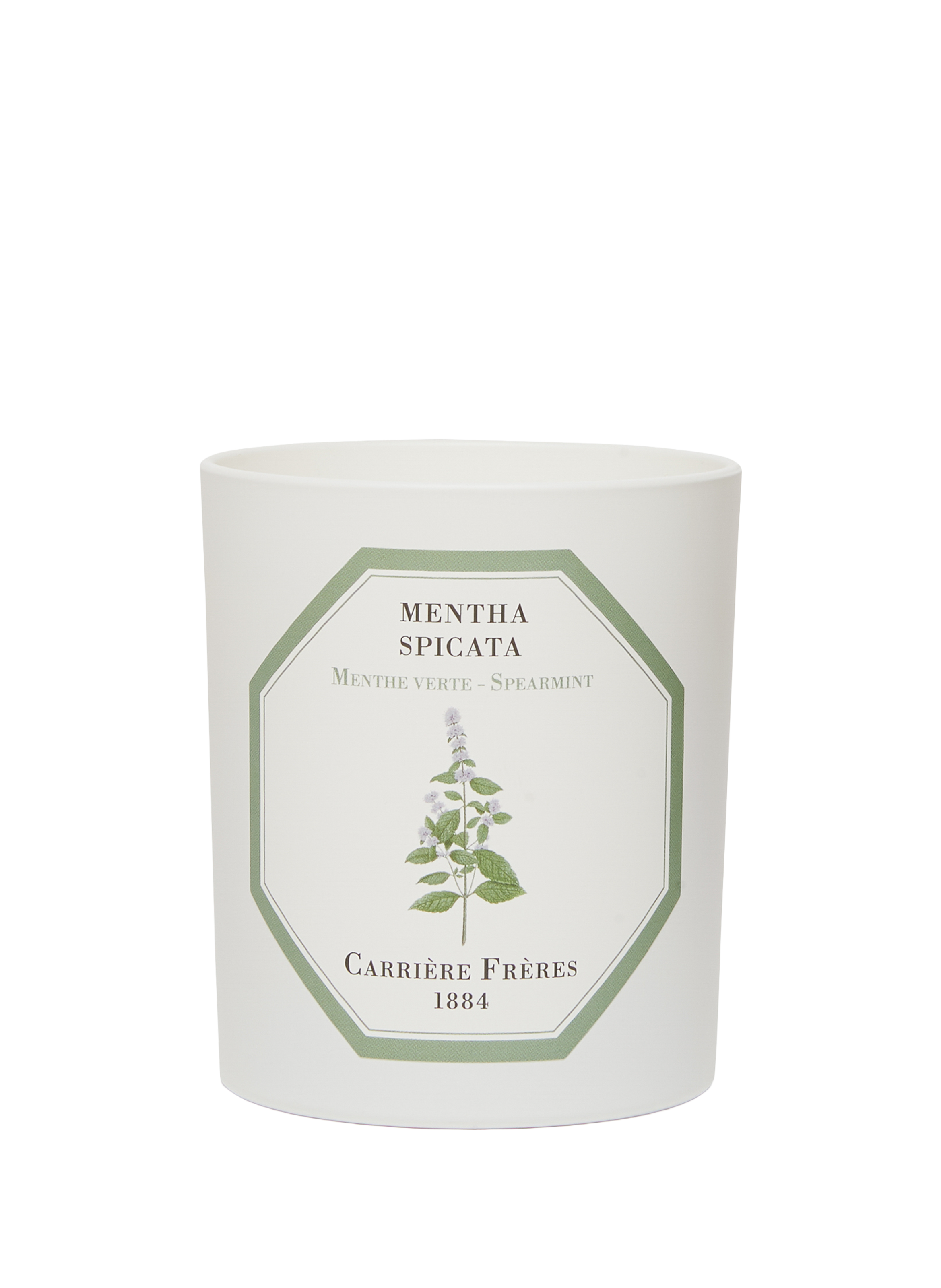 CARRIERE FRERES Bougie Parfumée Menthe Verte - Mentha Spicata - 185 g No color