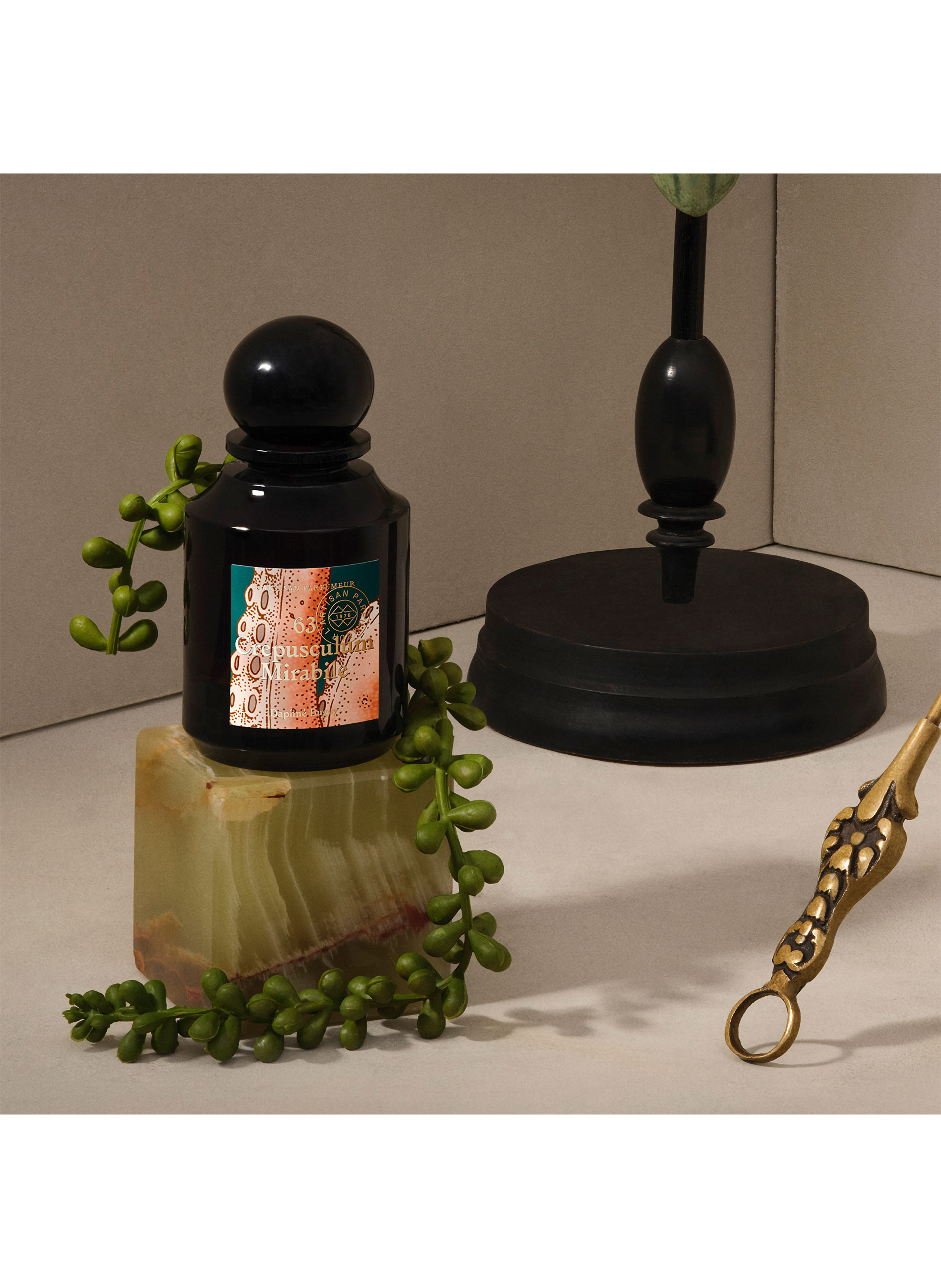 Crepusculum Mirabile - Eau de parfum No color