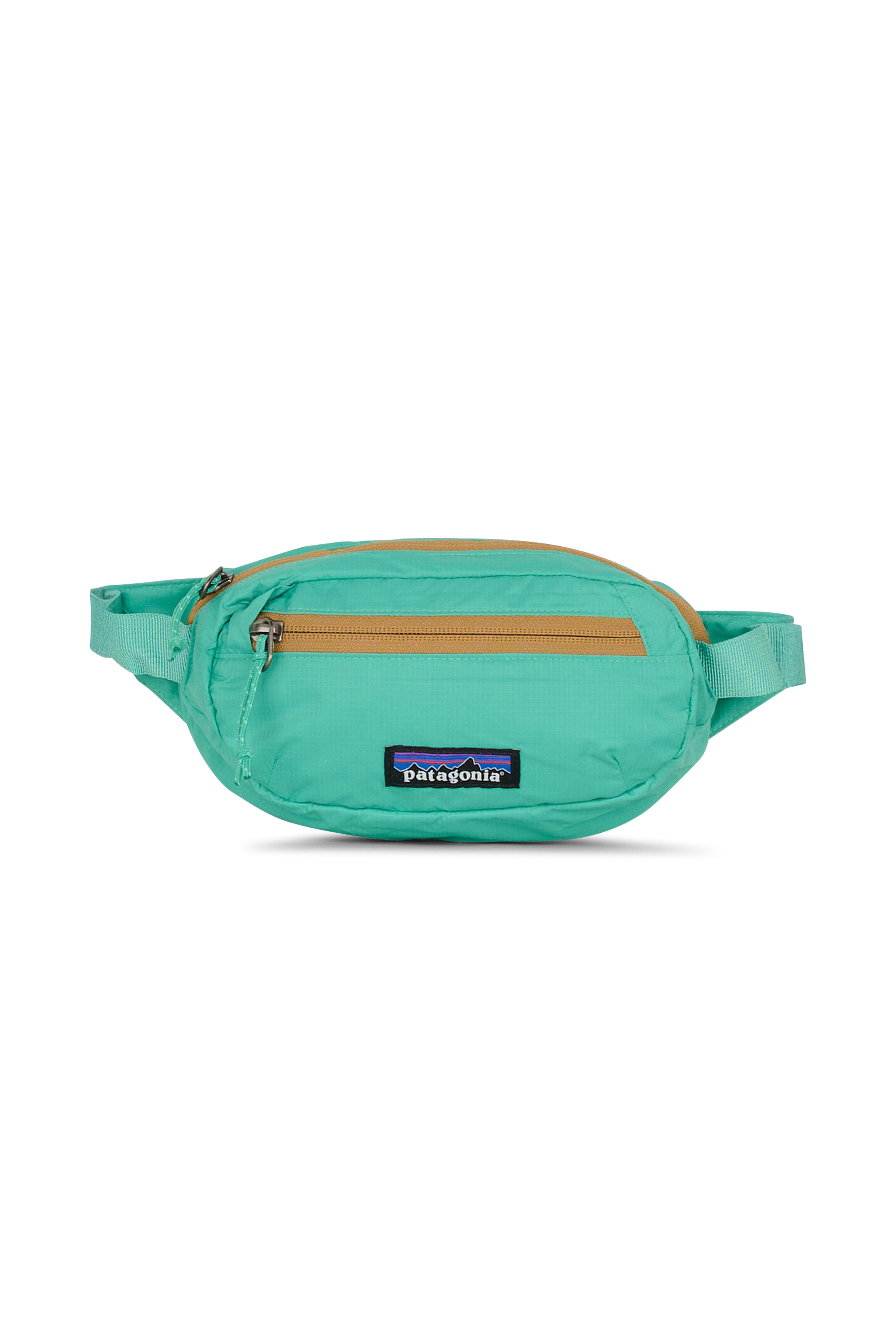 Sac banane zippé PATAGONIA Vert