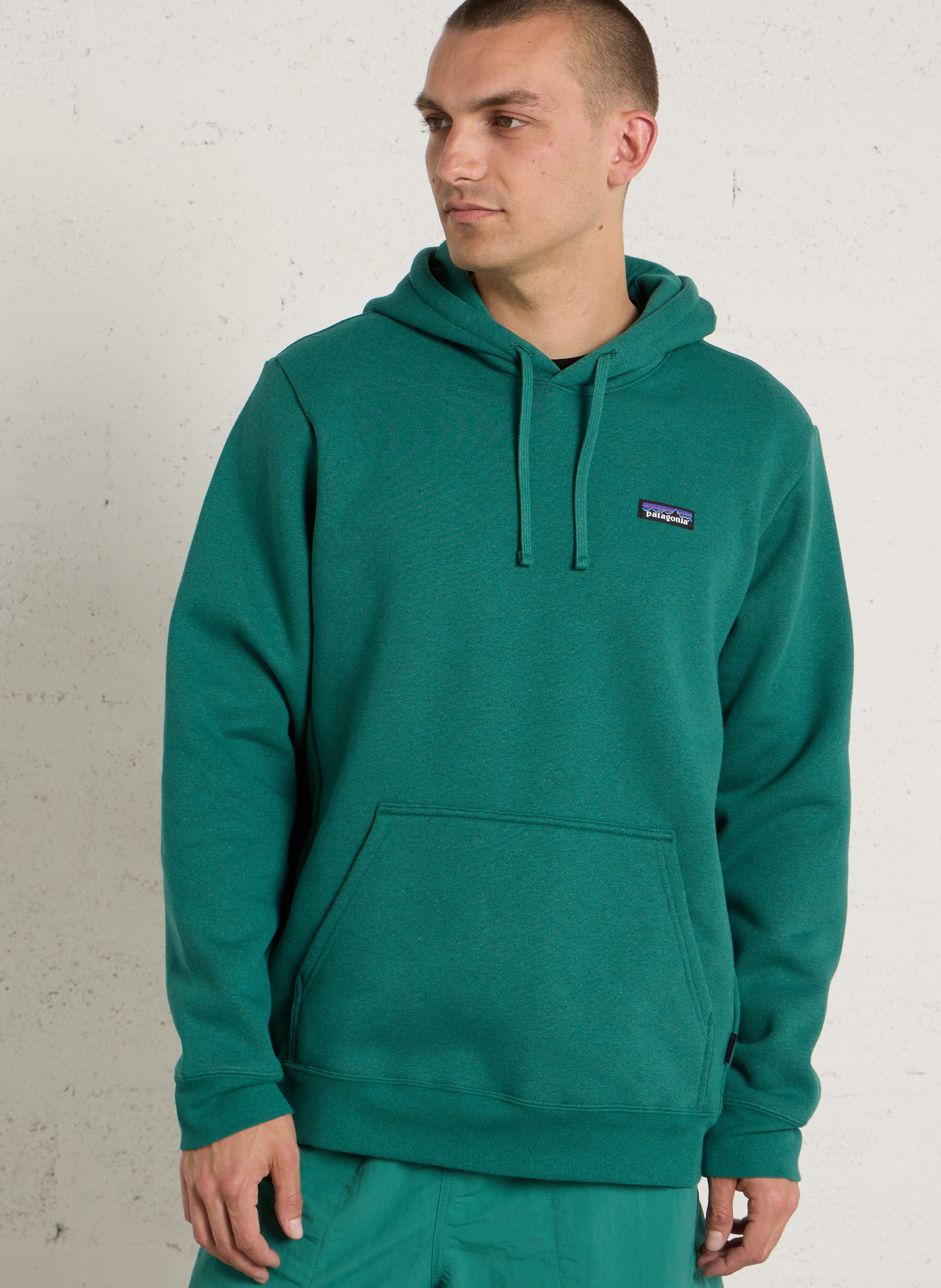 Hoodie heren P-6 Label Uprisal Hoody PATAGONIA Groen