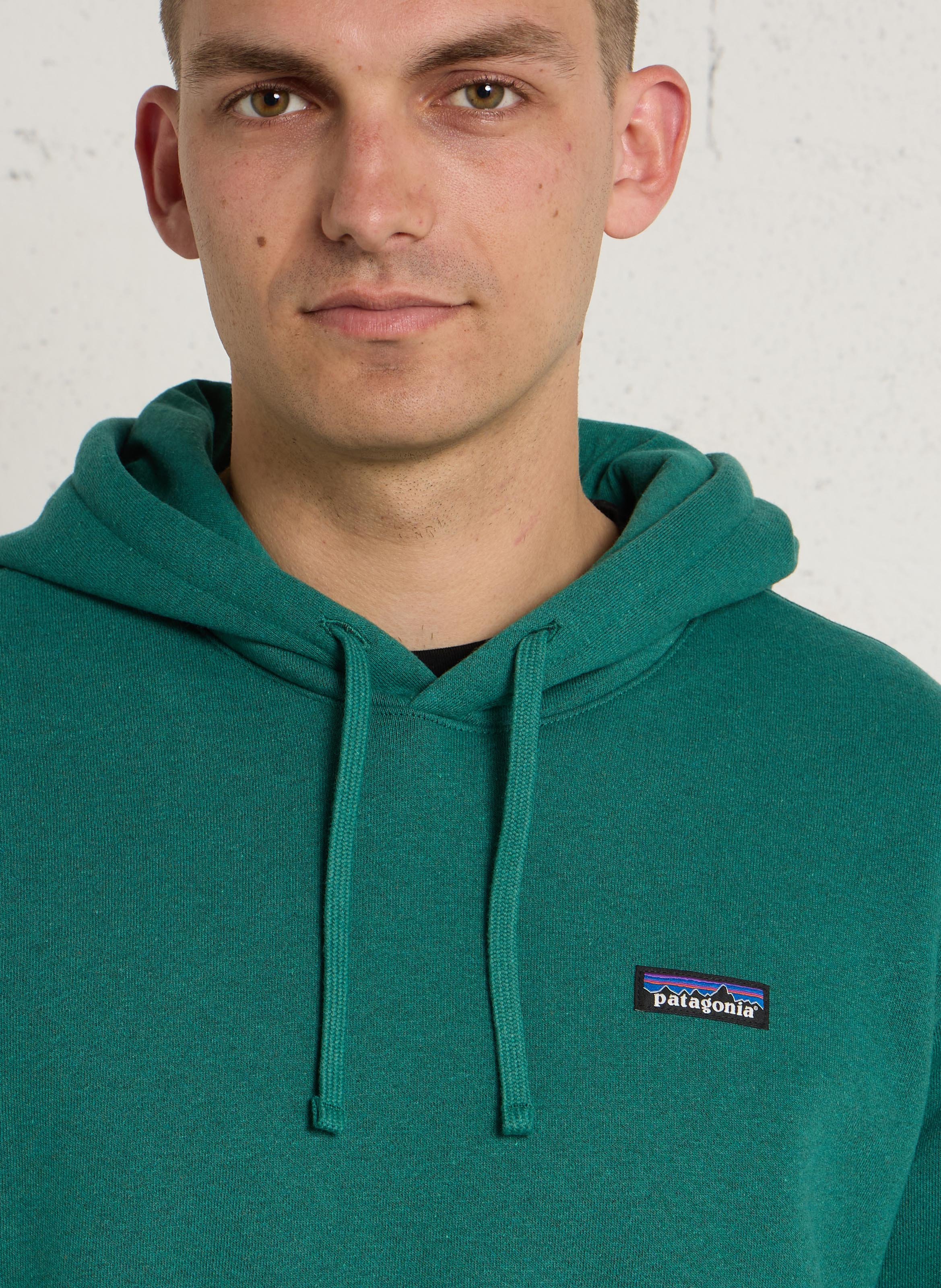 Hoodie heren P-6 Label Uprisal Hoody PATAGONIA Groen