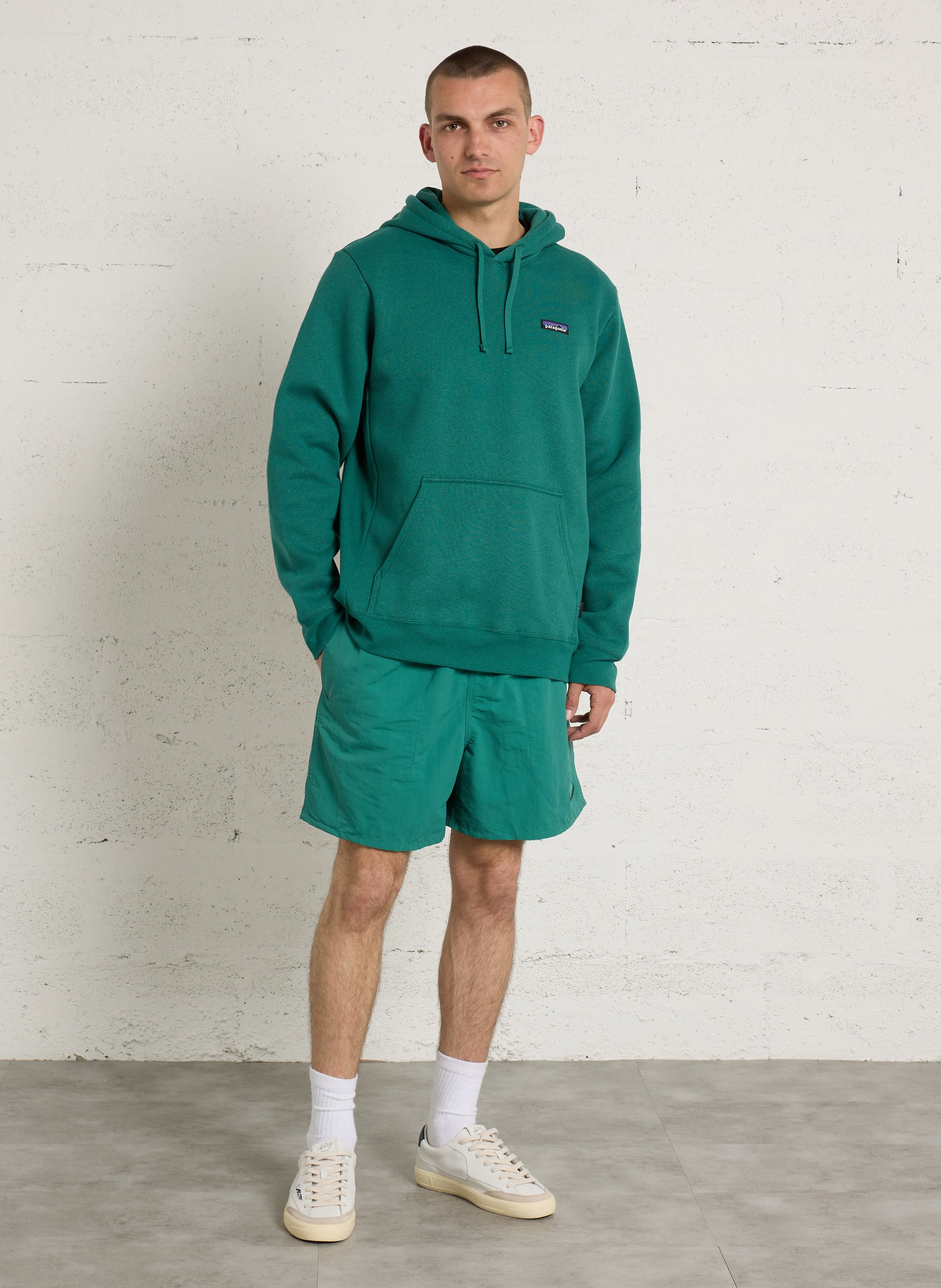 Hoodie heren P-6 Label Uprisal Hoody PATAGONIA Groen