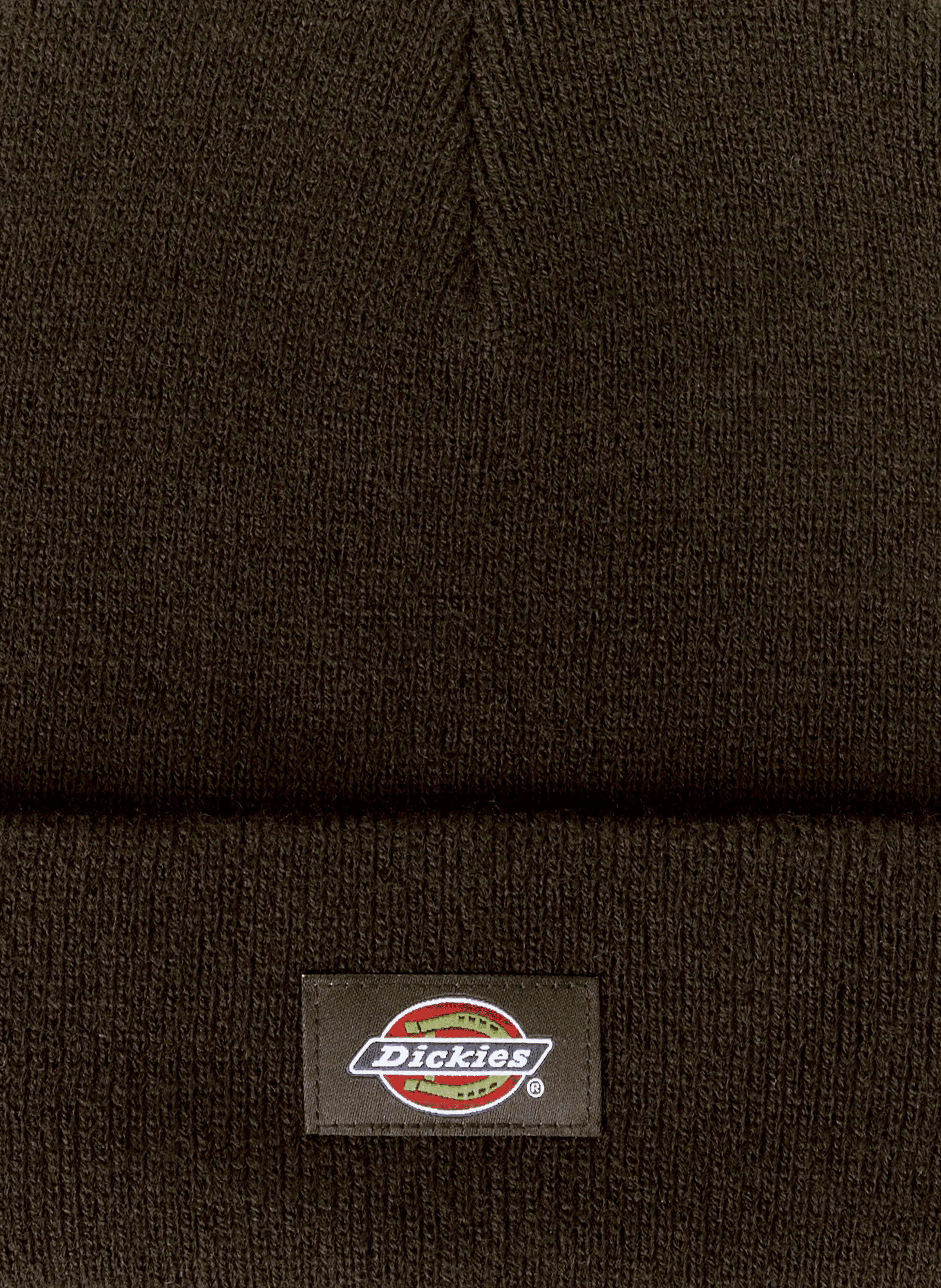 Logo beanie DICKIES Brown