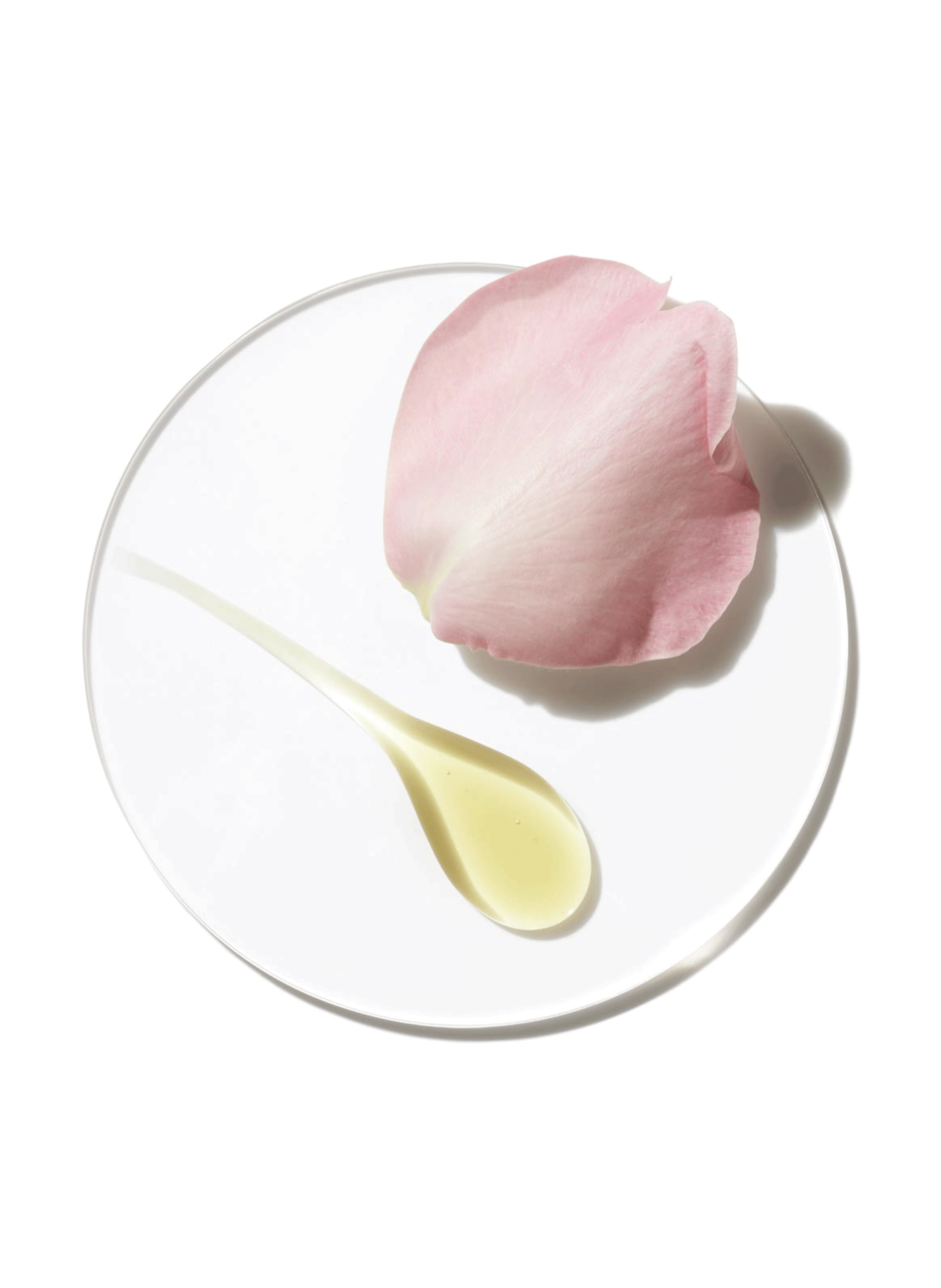 Aromatics Elixir - Eau de Parfum CLINIQUE No color