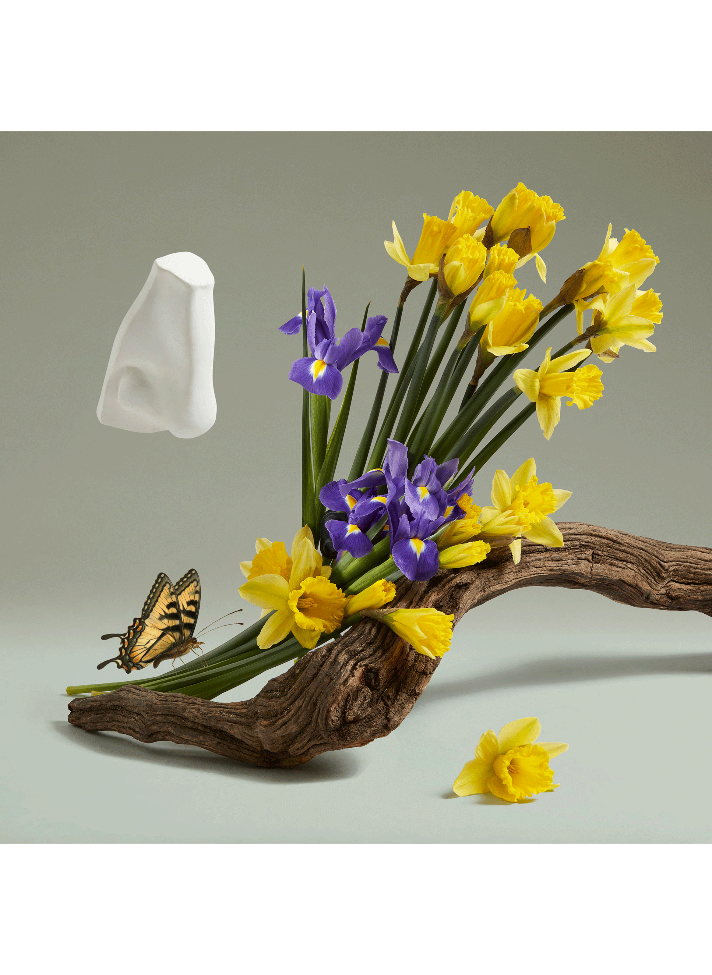 Eau de parfum  The revenge of Lady Blanche PENHALIGON'S No color