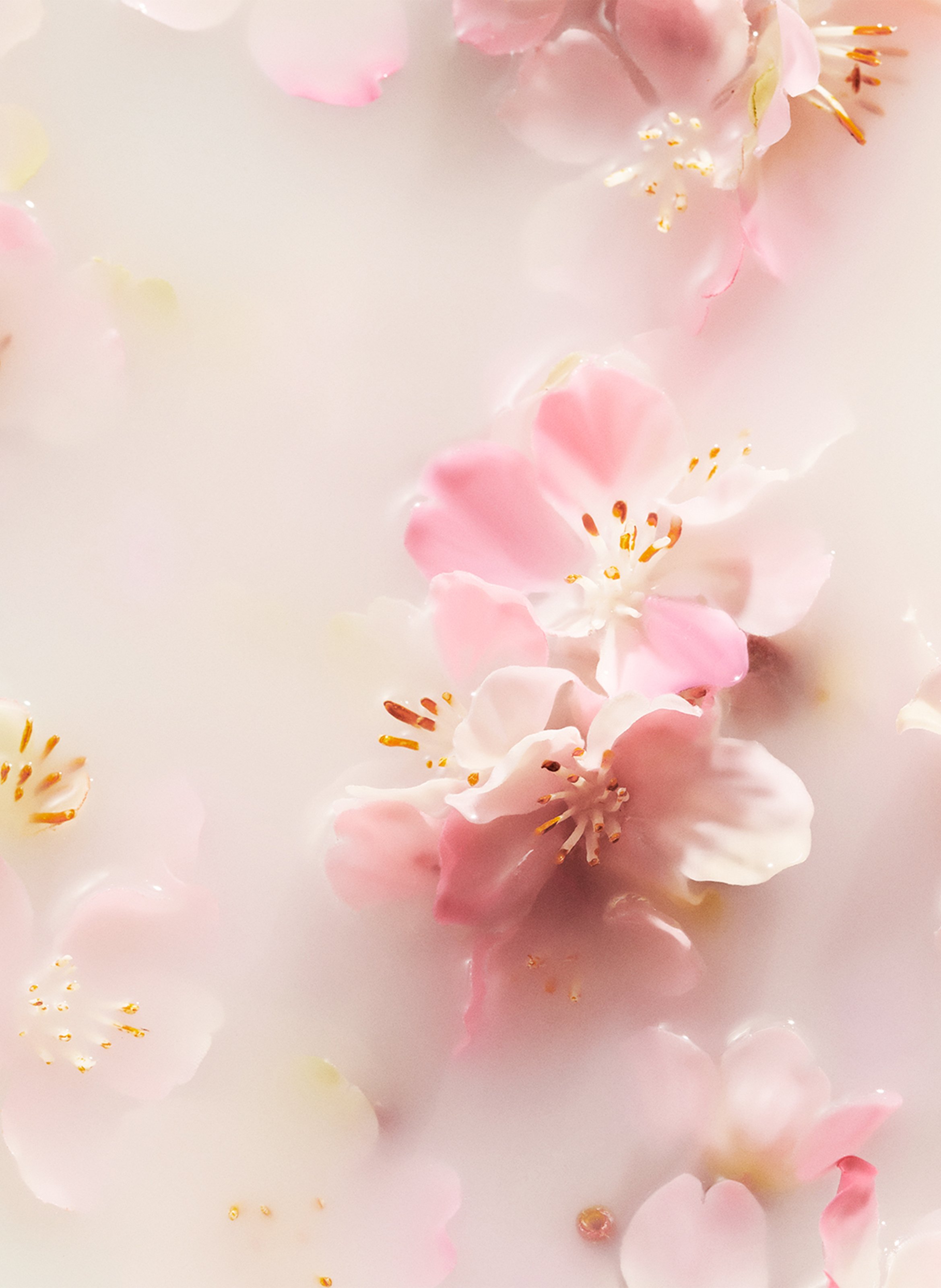 The Ritual of Sakura - Scented reeds RITUALS No color