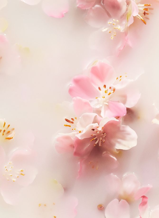 Rituals The Ritual of Sakura Car Perfume Refill 6g - FREE Delivery