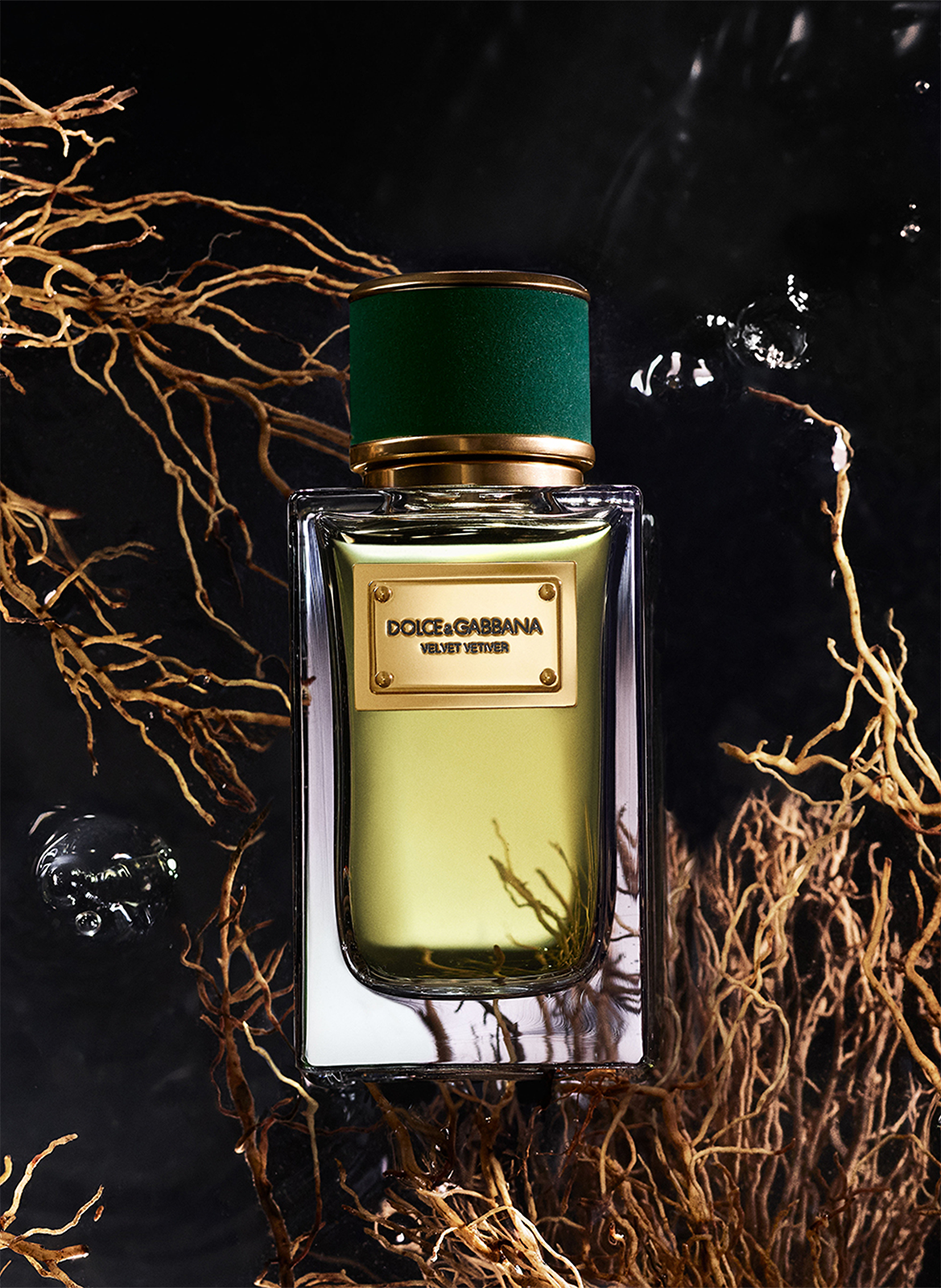 Velvet Vetiver - Eau De Parfum DOLCE & GABBANA No color