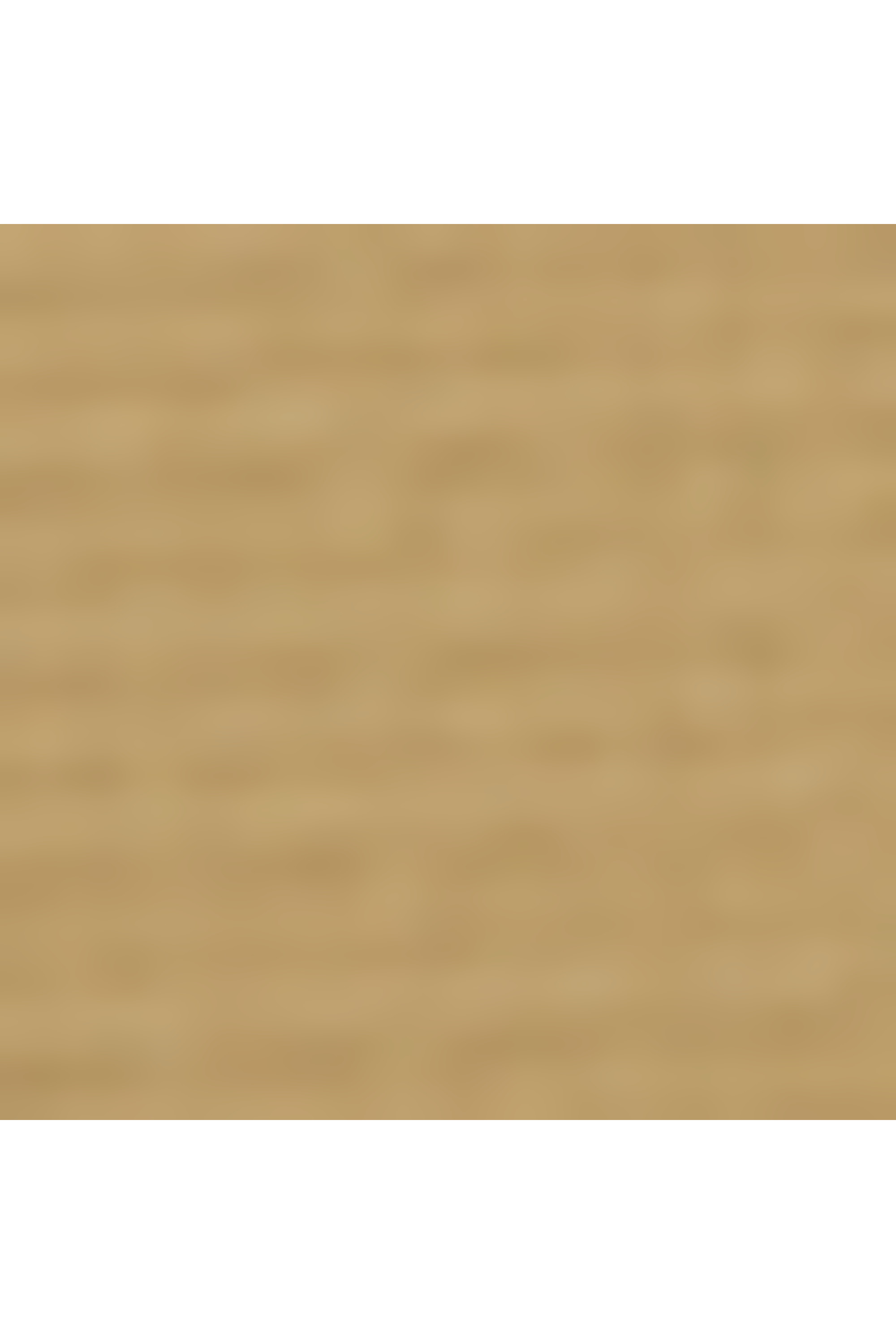 Alpha bravo sac à dos taille s TUMI Kaki