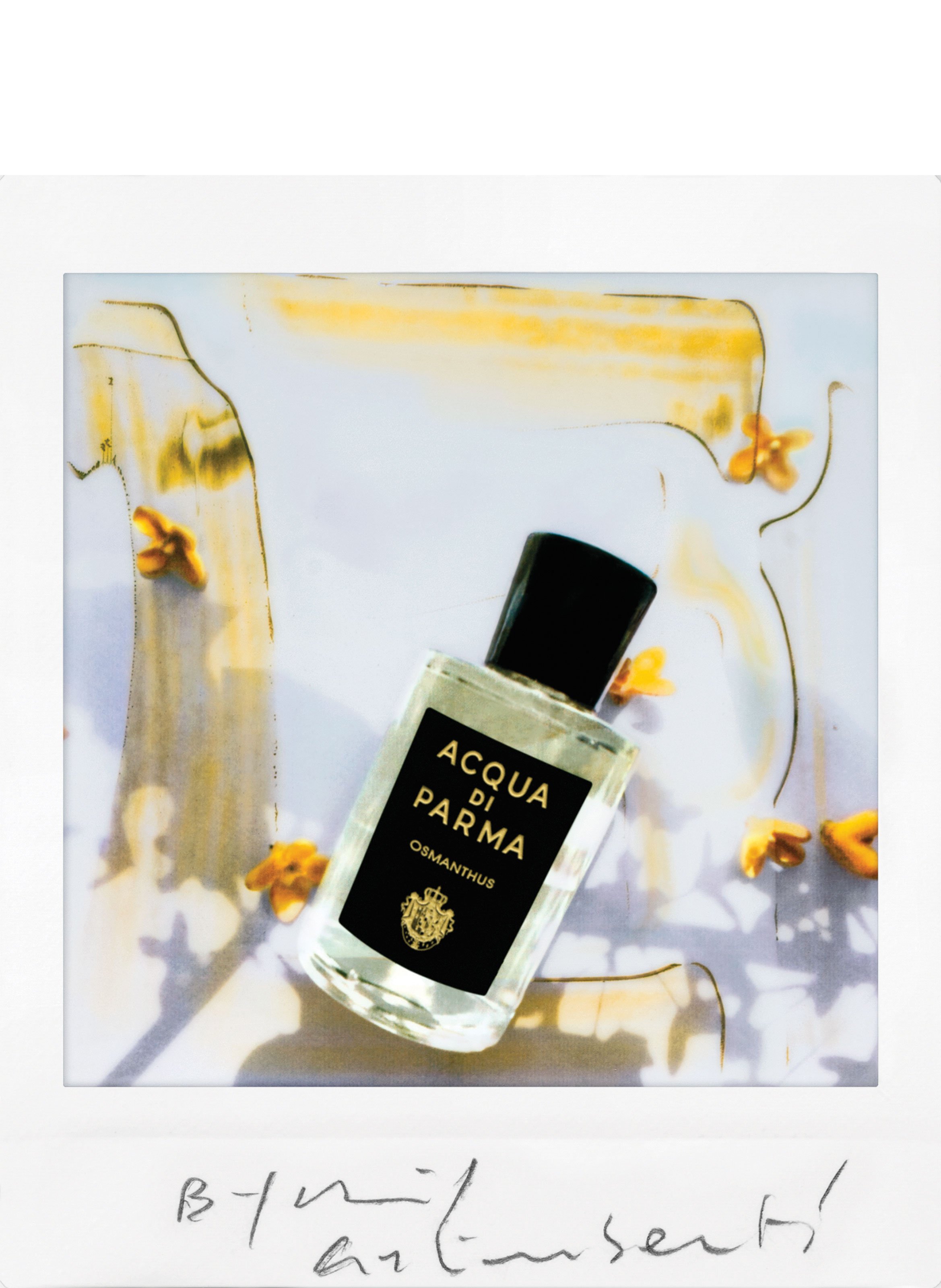 Signatures Of The Sun - Osmanthus - Eau De Parfum No color