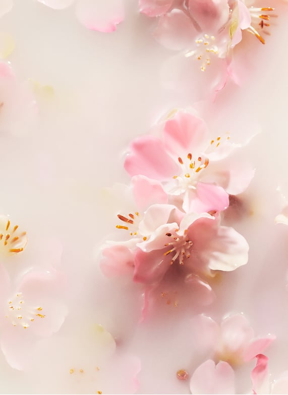 The ritual of Sakura - Mini bâtonnets parfumés by RITUALS The ritual of Sakura - Mini bâtonnets parfumés No color