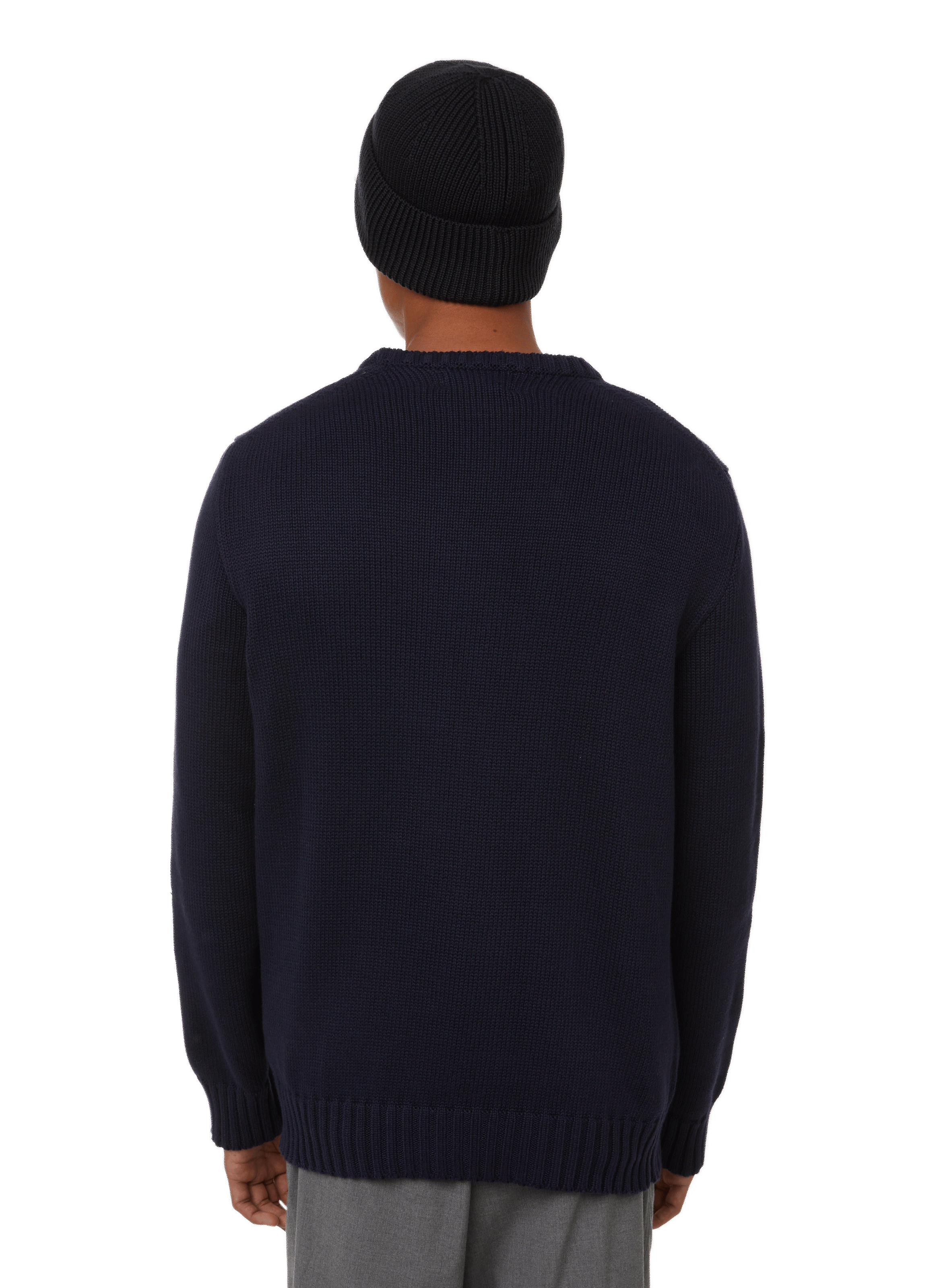 Printed cotton jumper POLO RALPH LAUREN Blue