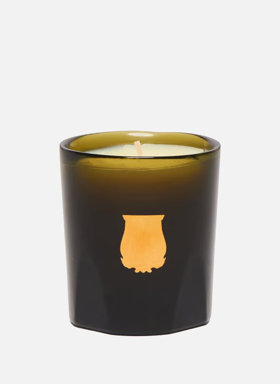 La Petite Bougie Gabriel (Gourmet Chimney Fire) 70 g (2.5 oz) by TRUDON TRUDON La Petite Bougie Gabriel (Gourmet Chimney Fire) 70 g (2.5 oz)