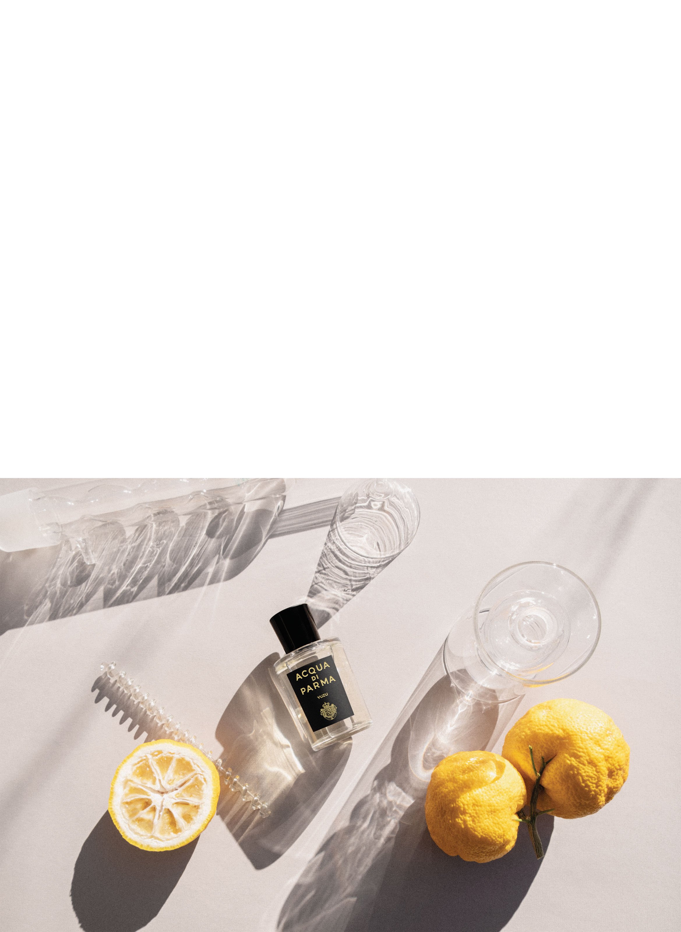 Yuzu Eau de Parfum 100 ml (3.4 fl oz) ACQUA DI PARMA No color