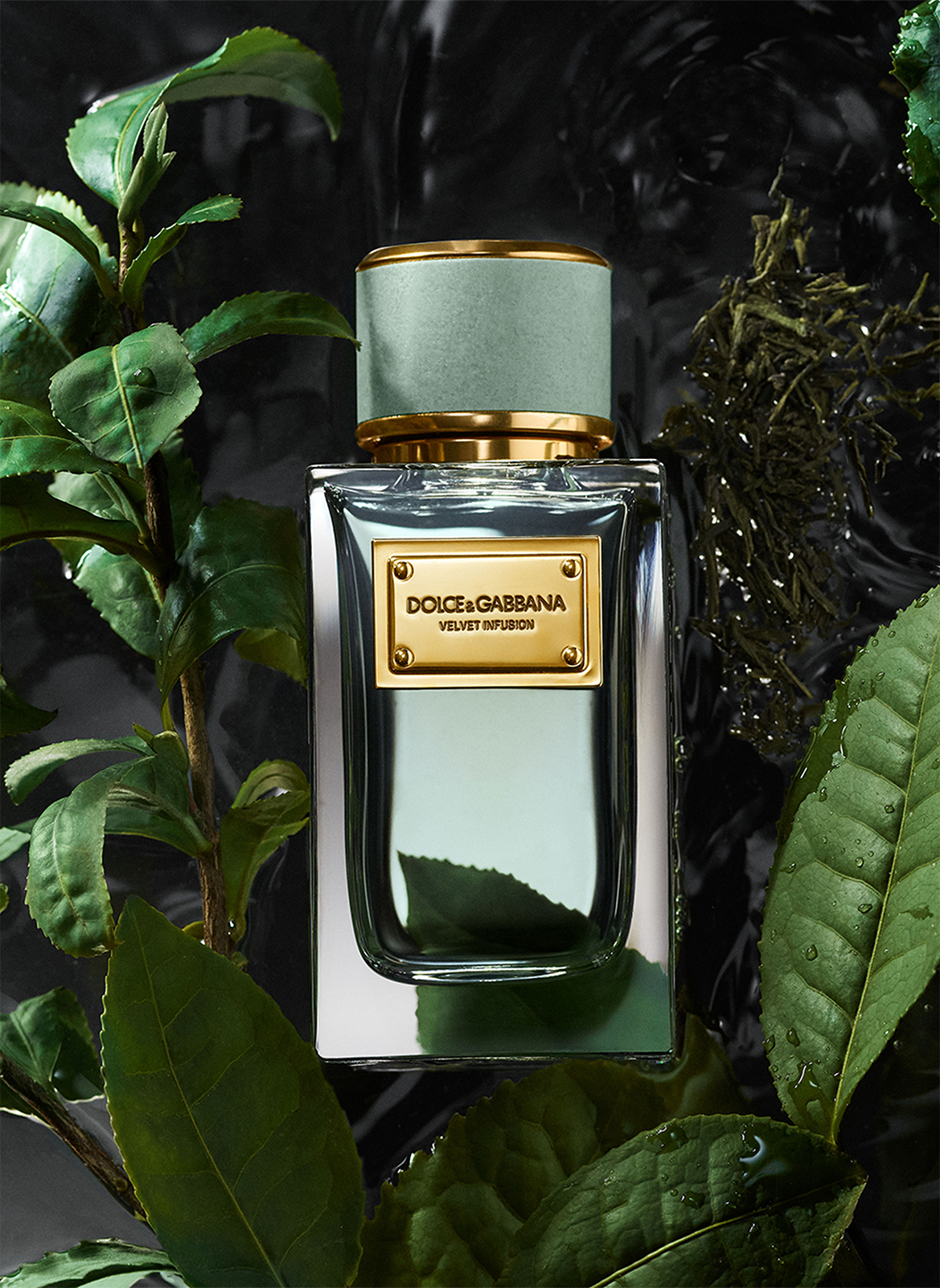 Velvet Infusion - Eau De Parfum DOLCE & GABBANA No color