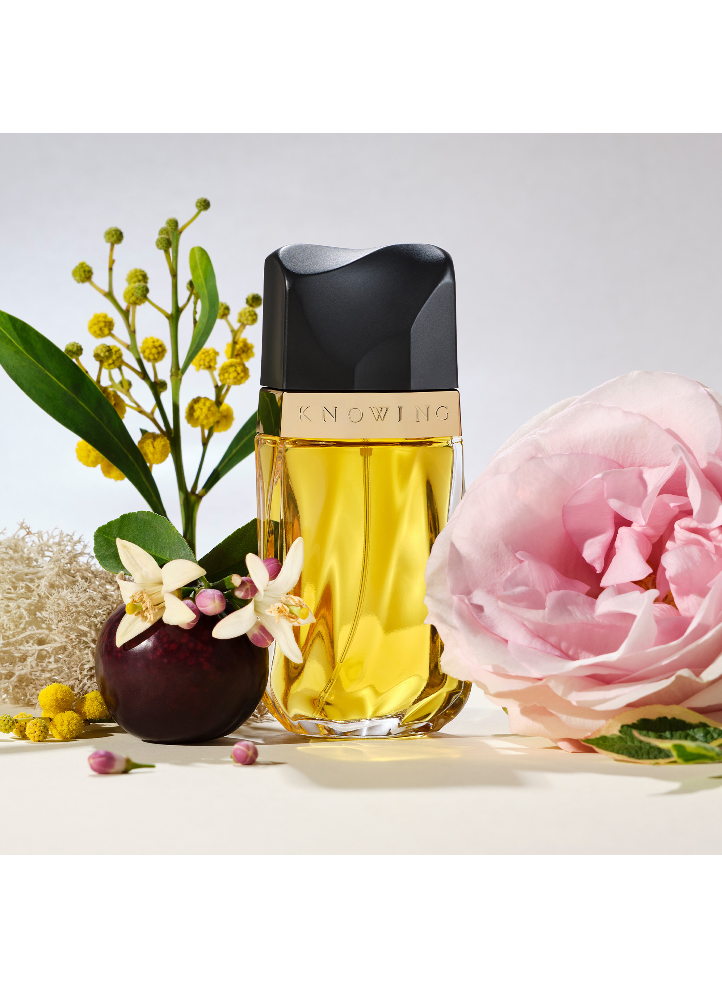 Eau de parfum - Knowing ESTÉE LAUDER No color