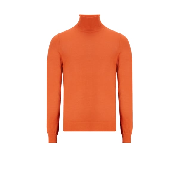 Pull col roulé en laine