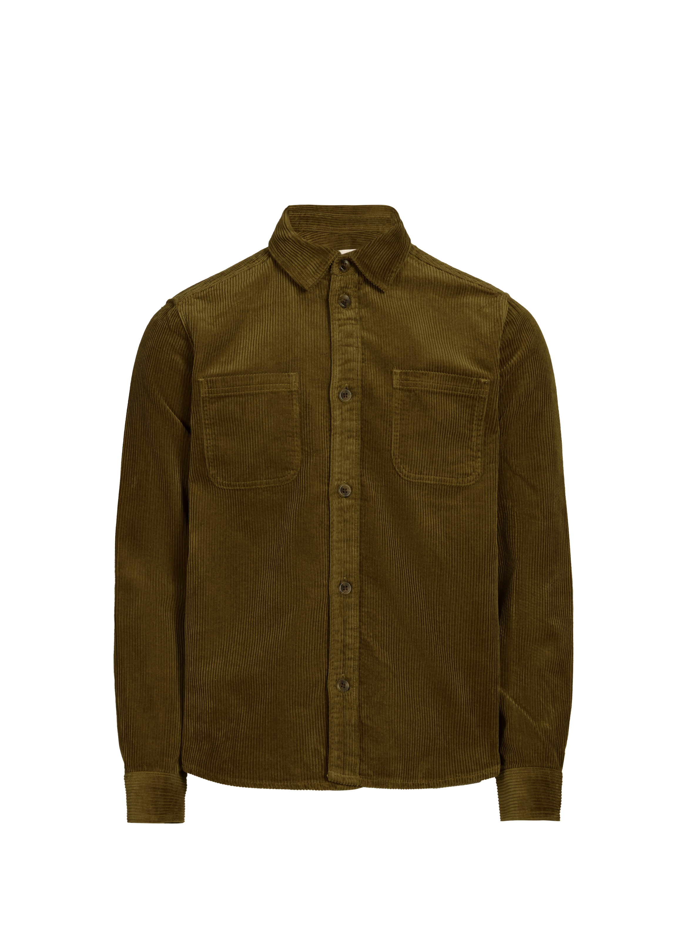 Chemise col classique manches contrastantes en coton LES DEUX Green