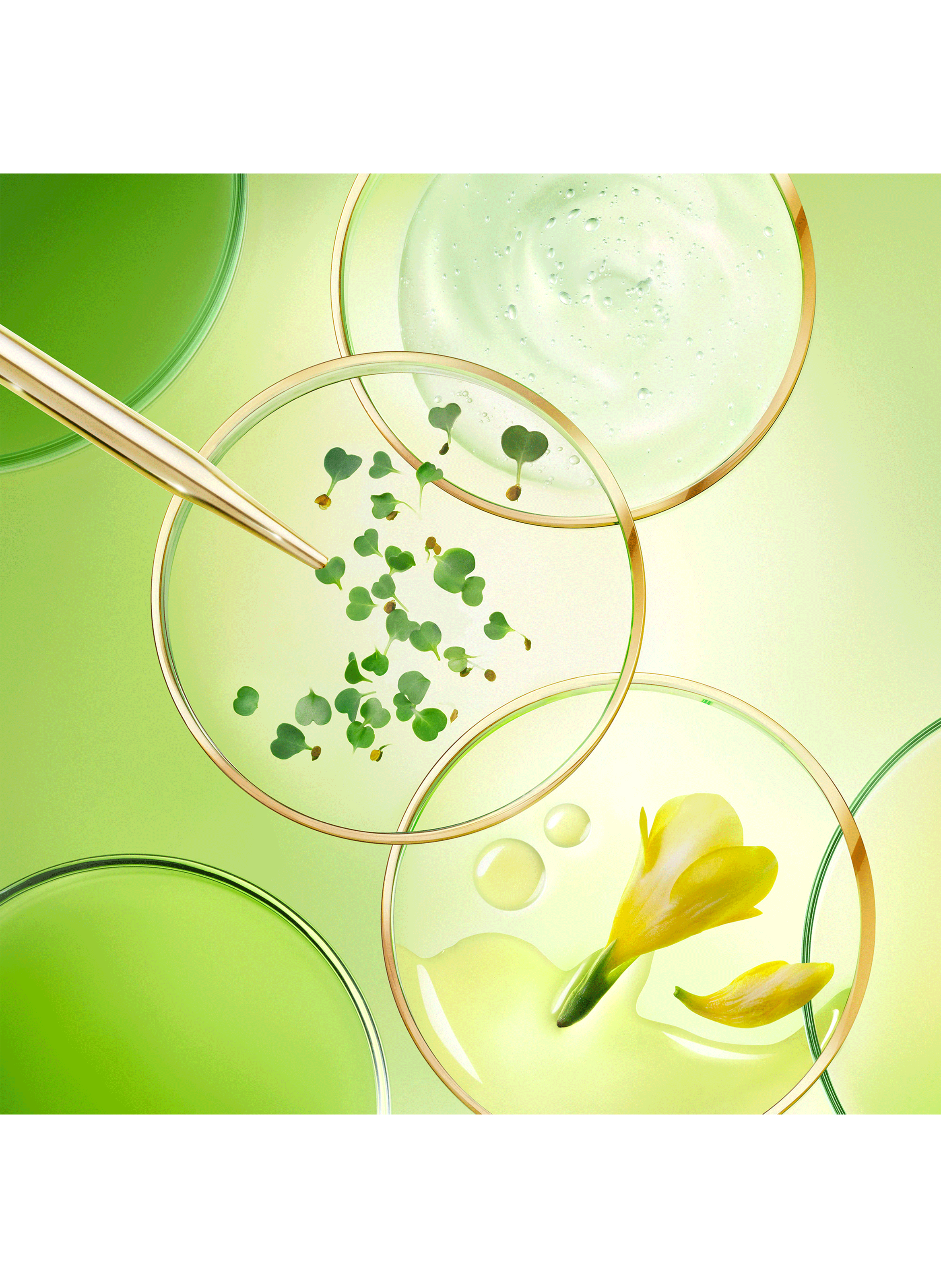 La Crème Anti-Âge Global, Nuxuriance Ultra No color