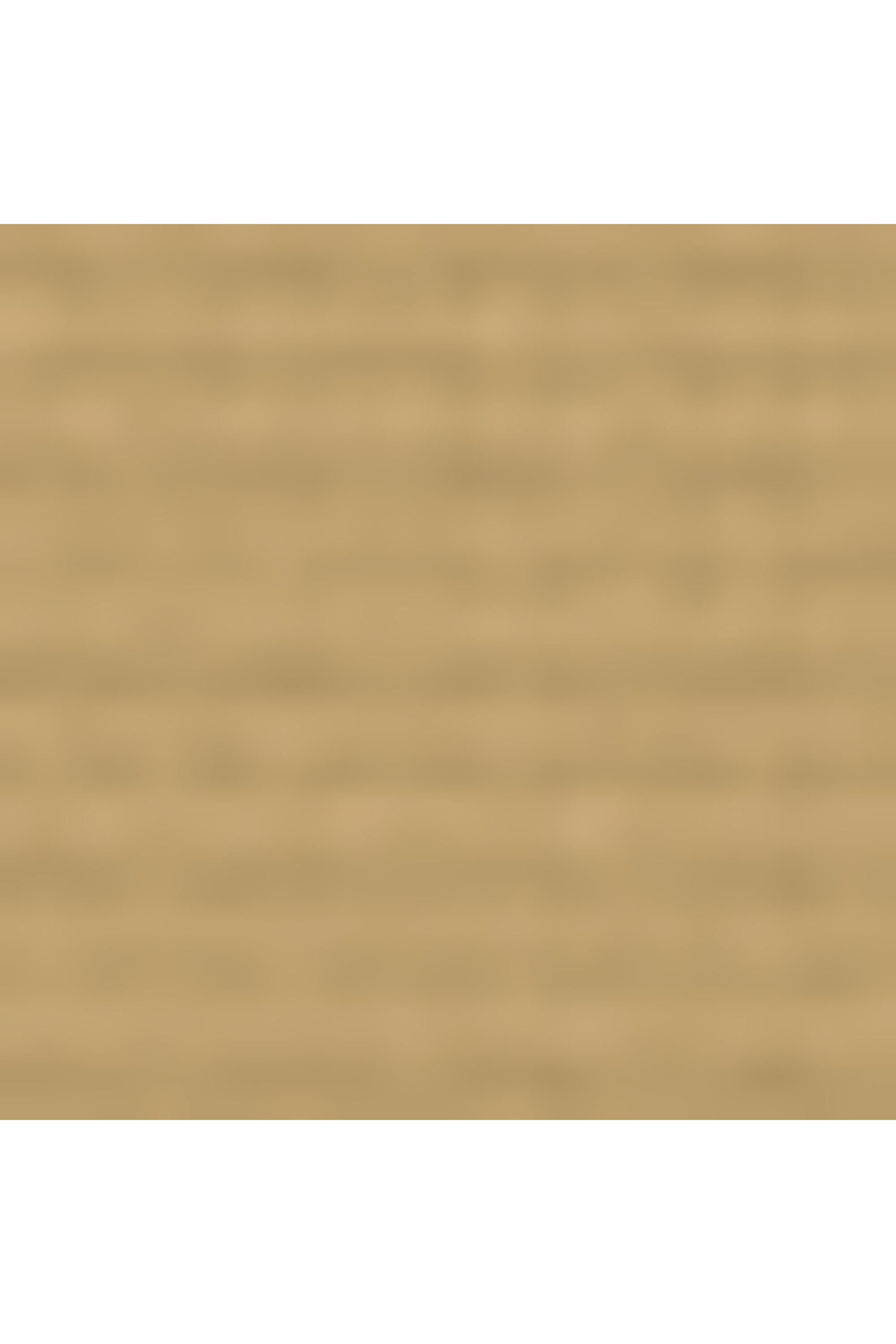 Alpha bravo sac à dos taille s TUMI Kaki