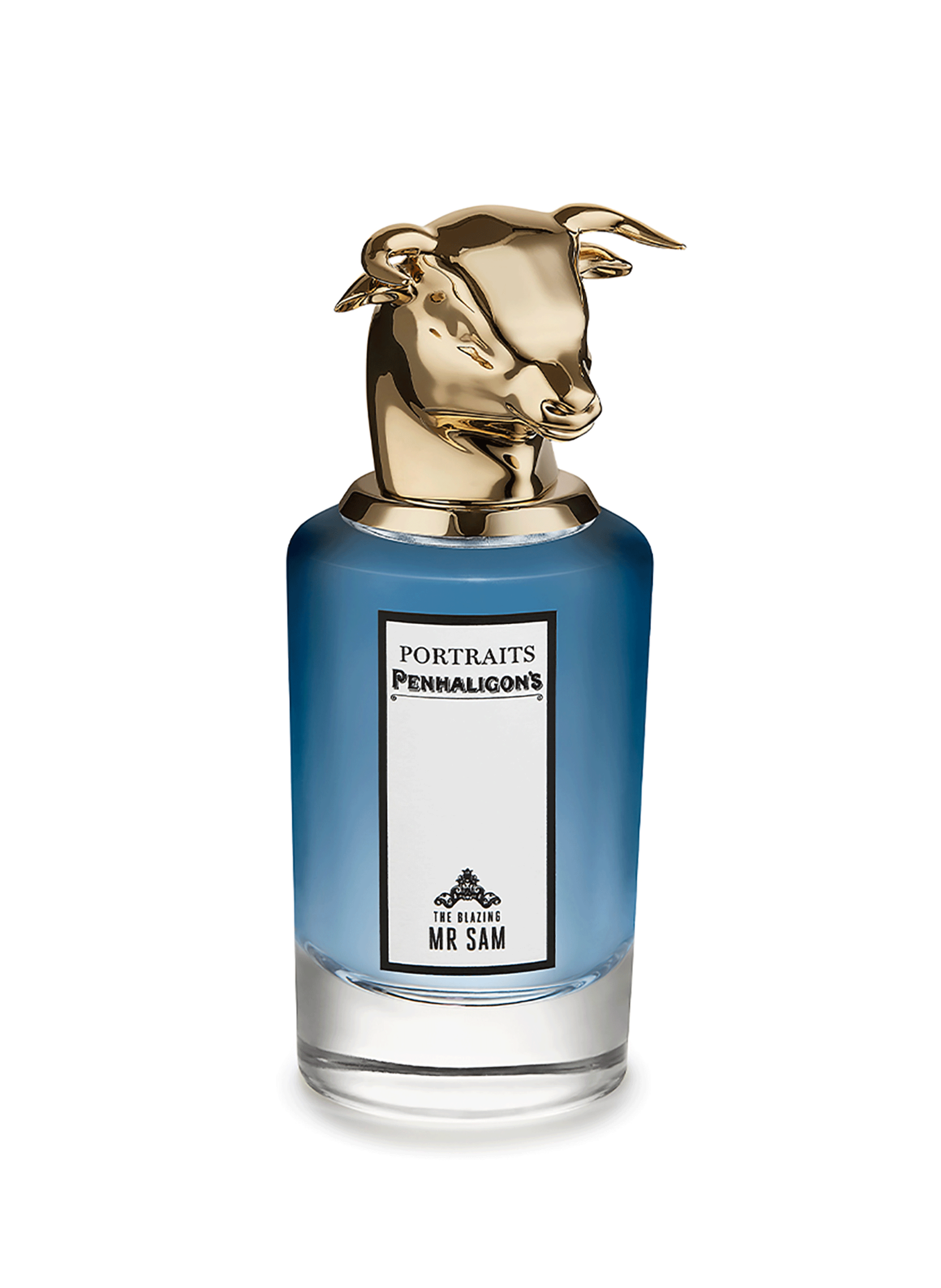 Eau de parfum The blazing mister Sam