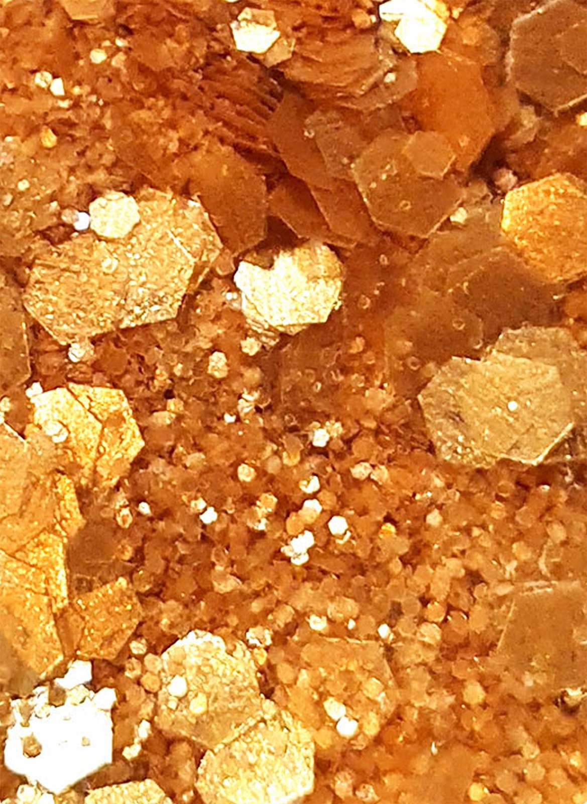 Paillettes Queen Du Desert SISI LA PAILLETTE No color