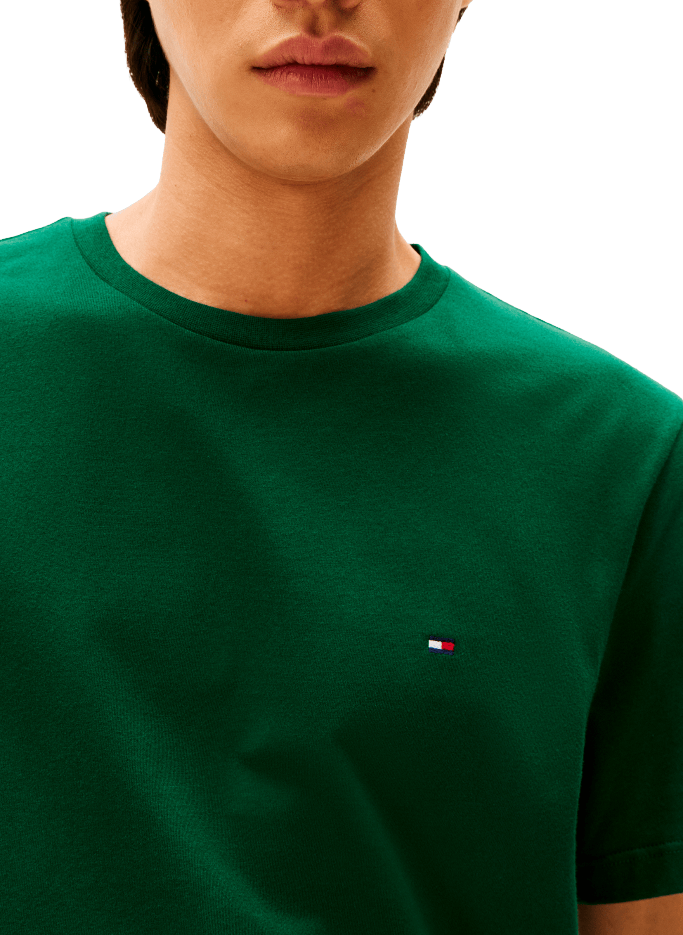Classic Cotton T-Shirt TOMMY HILFIGER Green