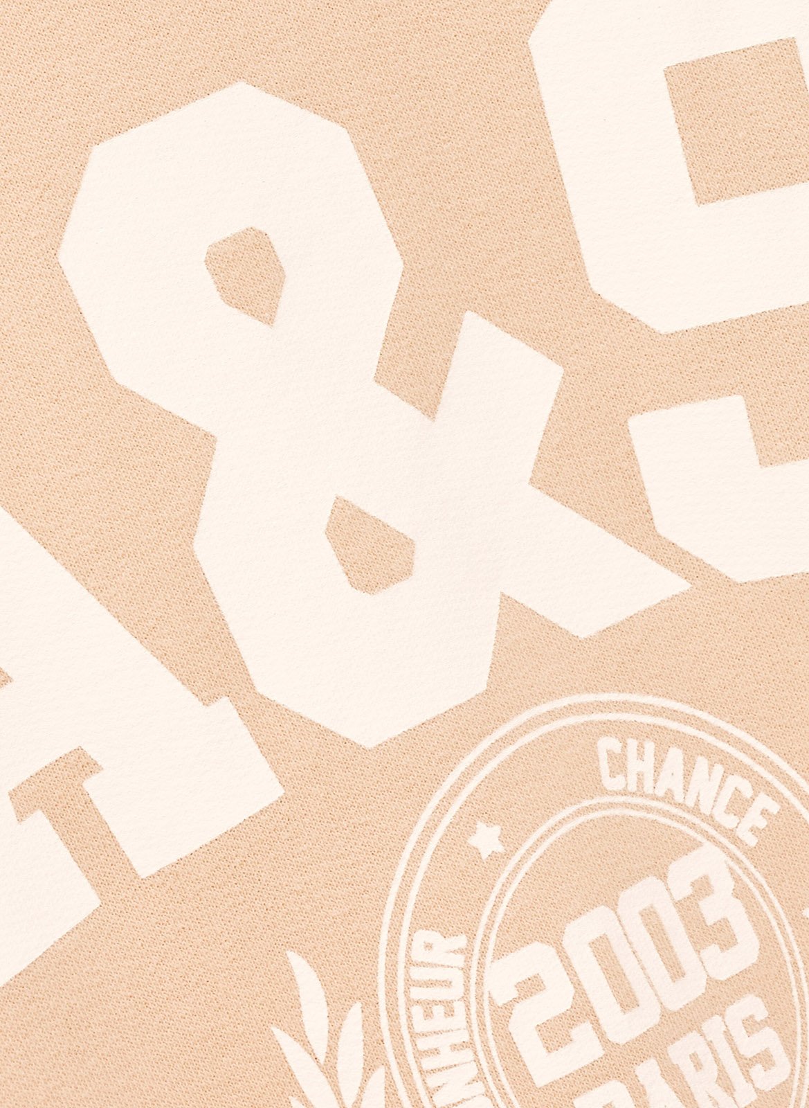 Sweat ample sérigraphié en coton mélangé benjamin BA&SH Rose