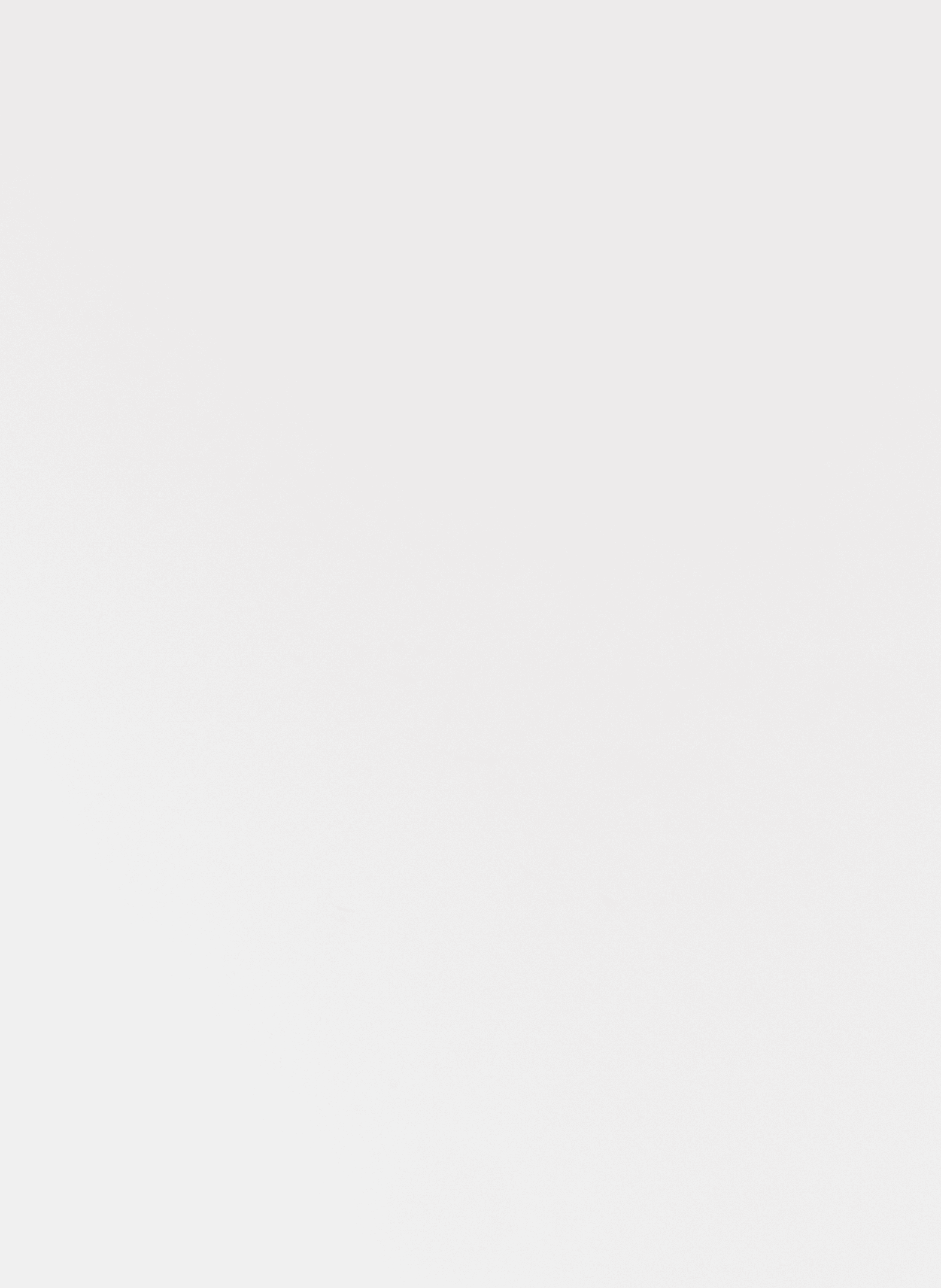 Floral printed stole AU PRINTEMPS PARIS Green