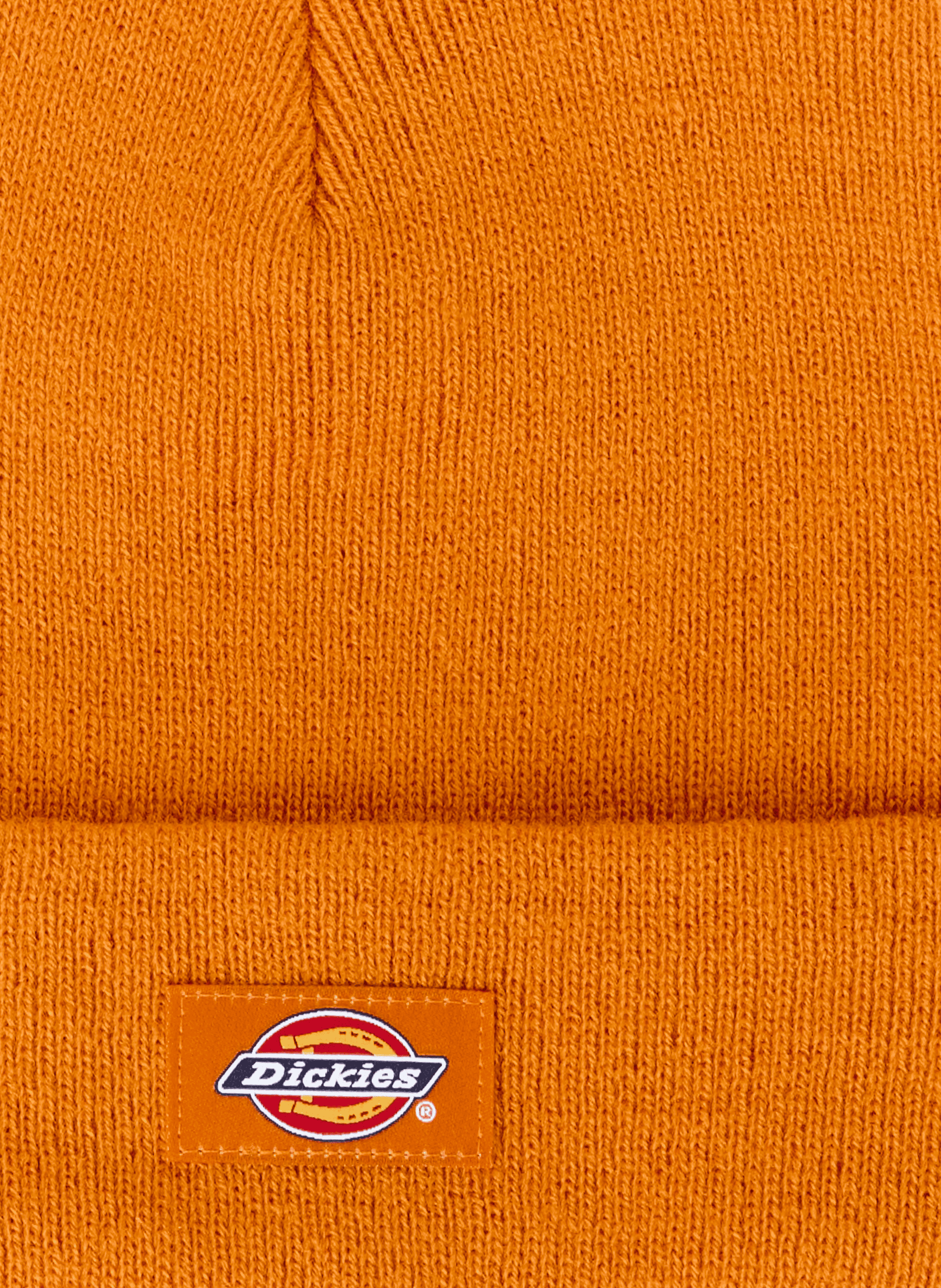 Logo beanie DICKIES Orange
