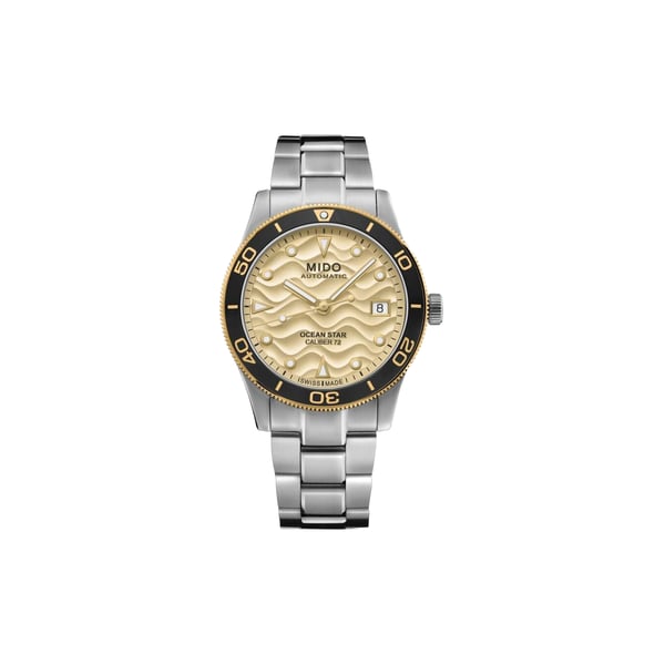 Montre analogique Ocean Star 39 en acier inoxydable Montre analogique Ocean Star 39 en acier inoxydable
