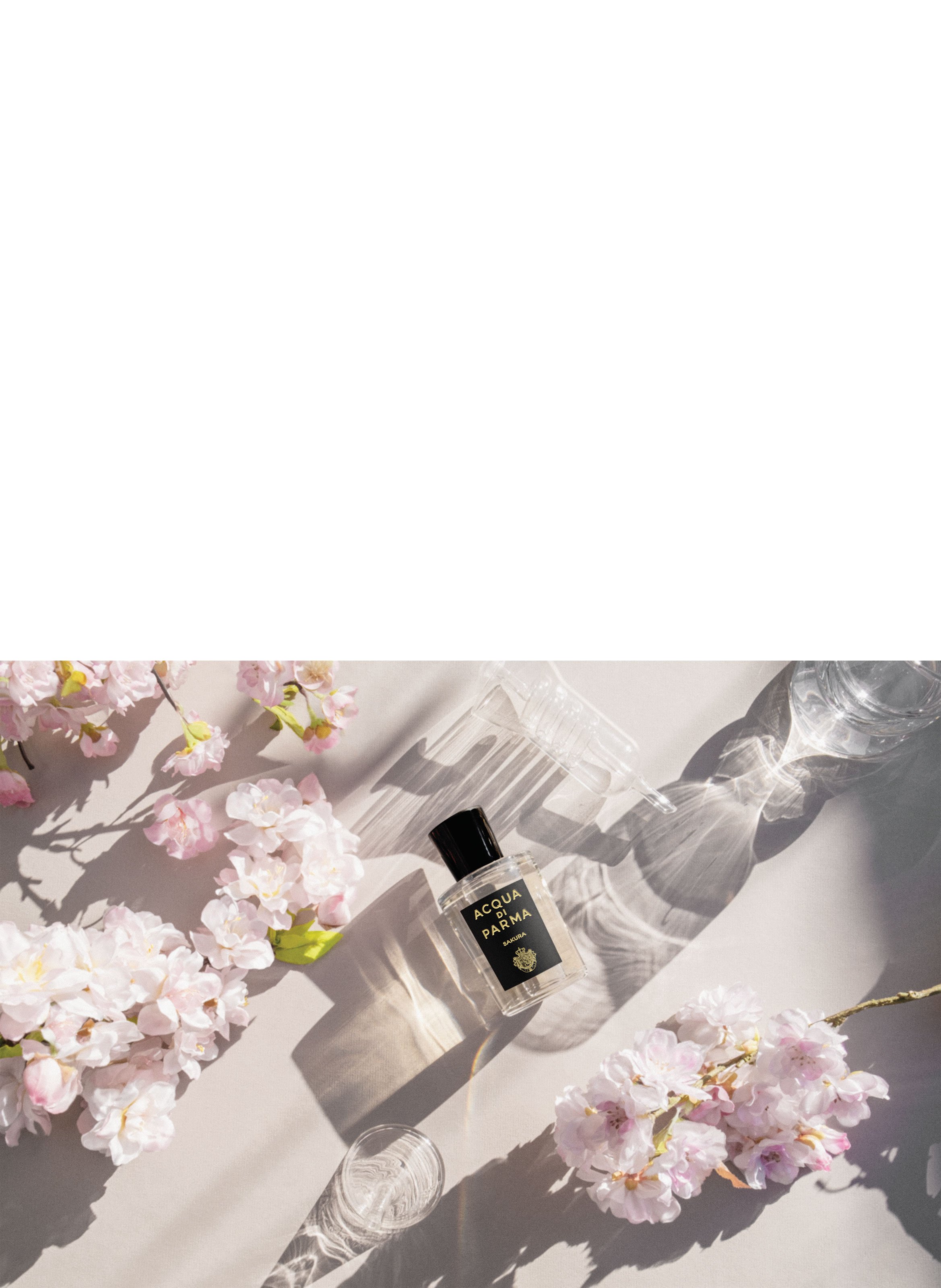 Sakura Eau de Parfum 100 ml (3.4 fl oz) ACQUA DI PARMA No color