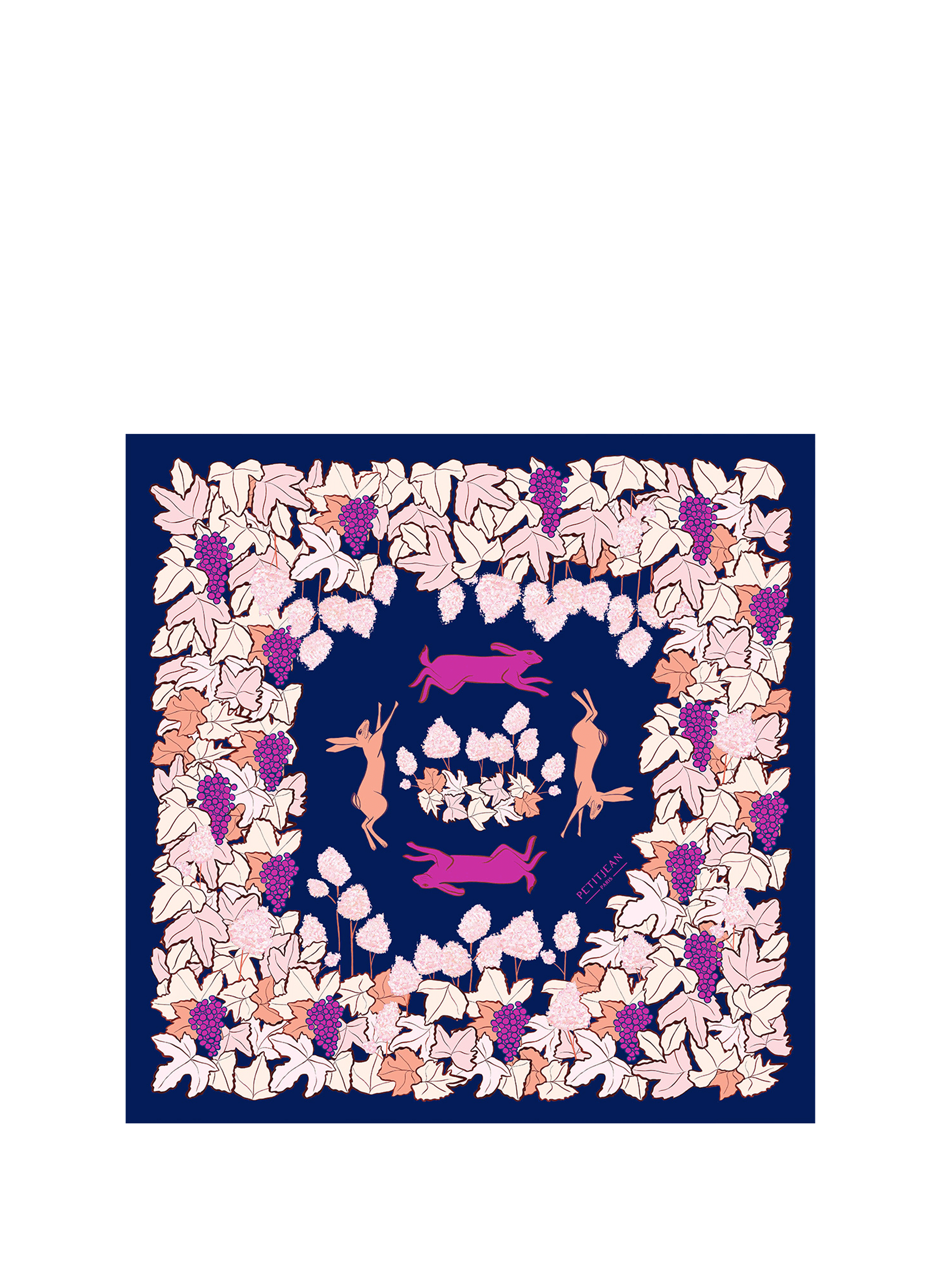 PETITJEAN PARIS Foulard en soie Multicolore