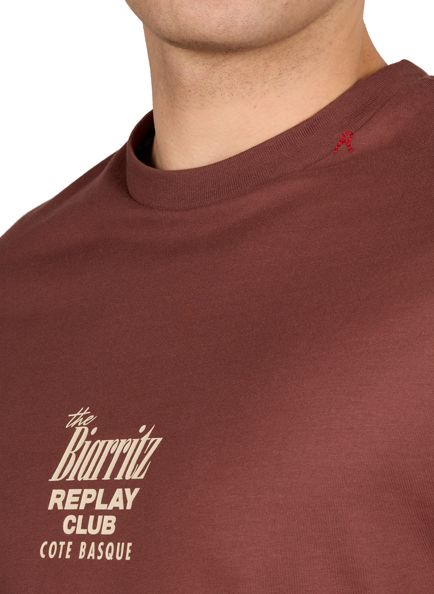 T-shirt manches courtes en coton REPLAY Marron