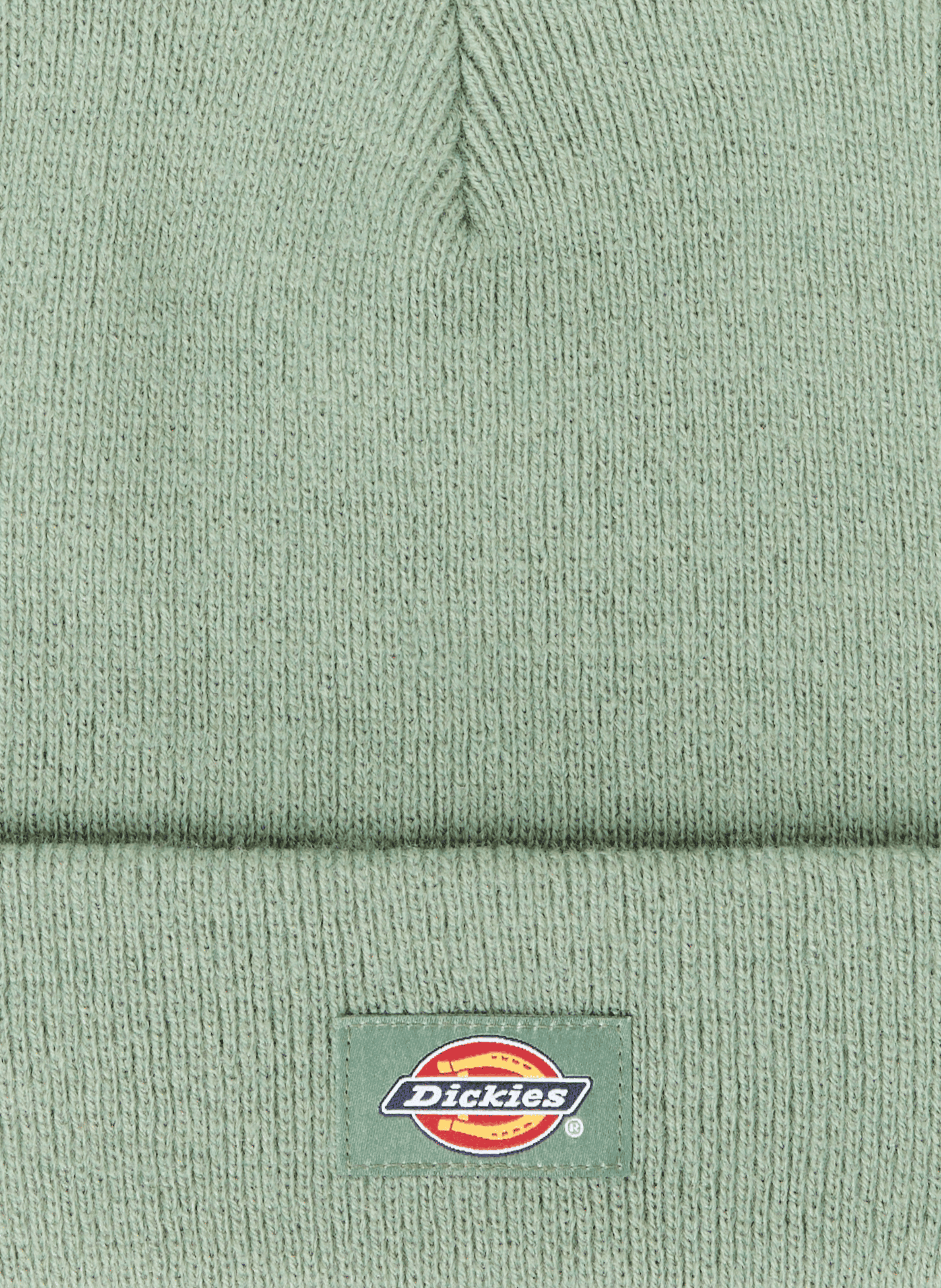 Logo beanie DICKIES Green