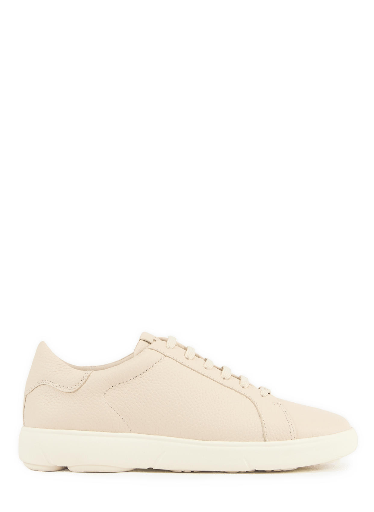 Low leather Sneakers  GEOX Beige