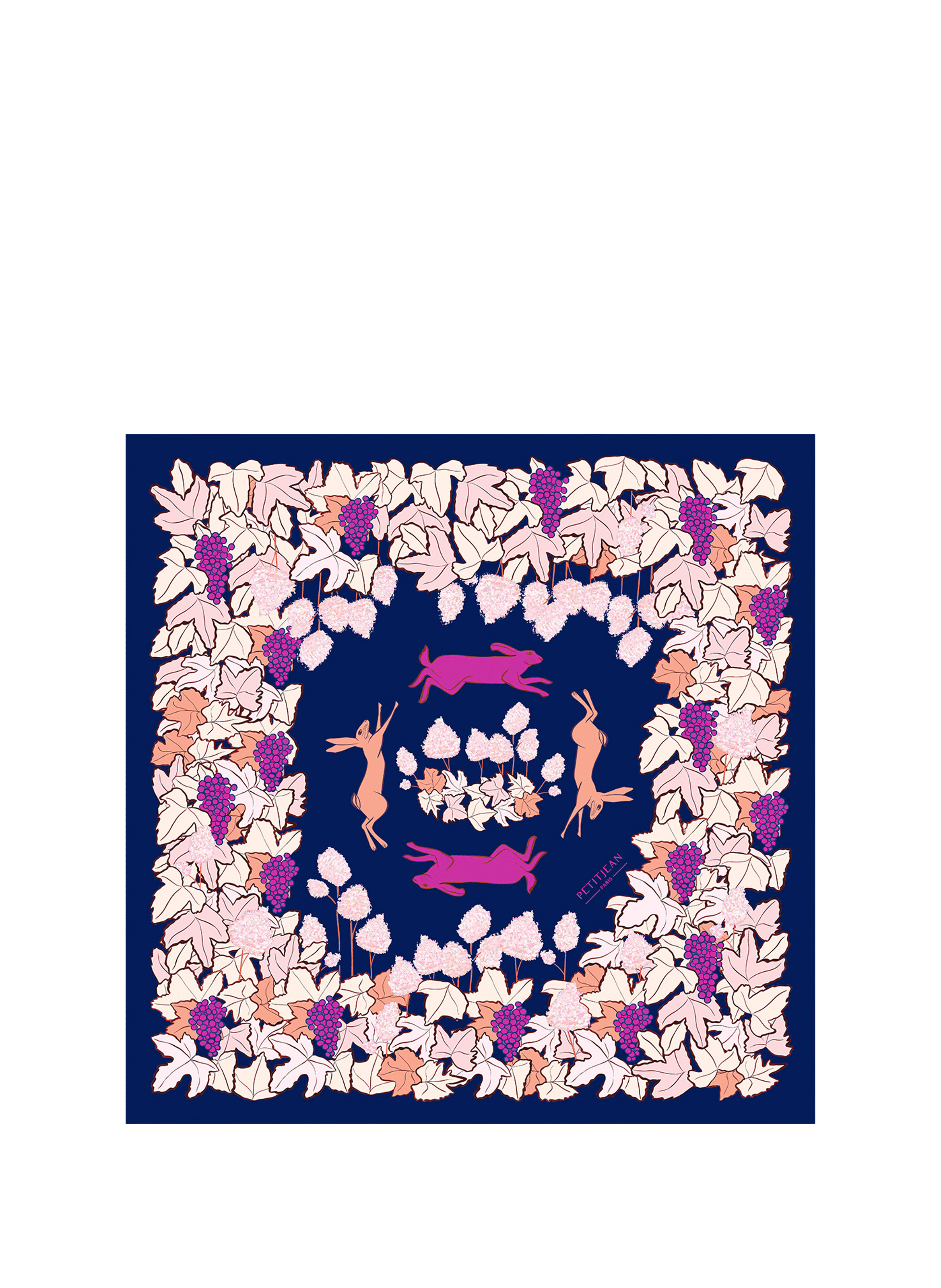 PETITJEAN PARIS Foulard en soie Multicolore