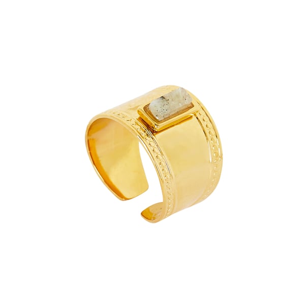 Bague ajustable en acier inoxydable