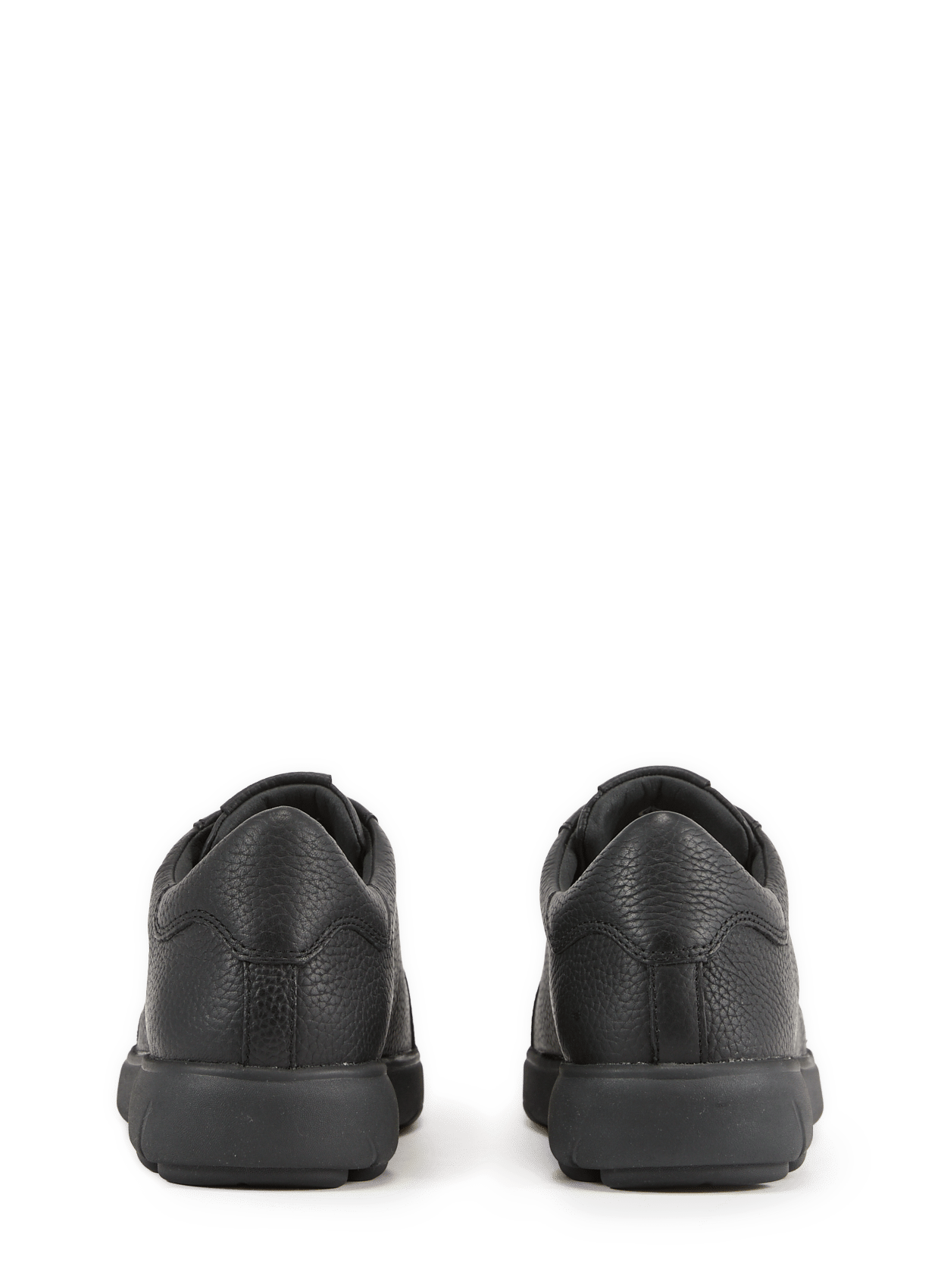 Low leather Sneakers  GEOX Black
