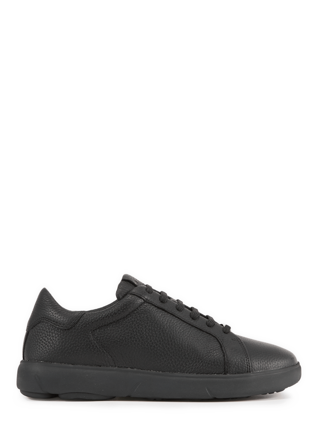 Low leather Sneakers  GEOX Black