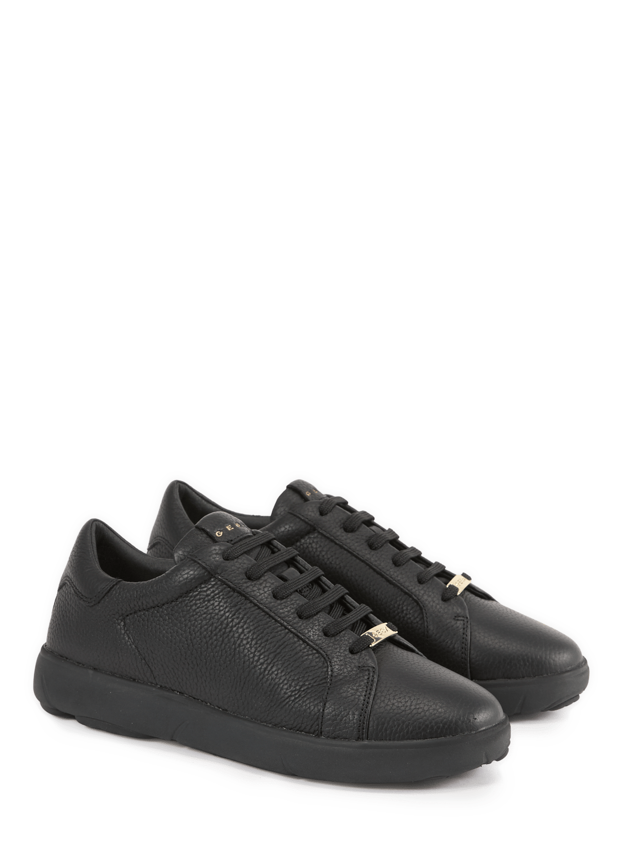 Low leather Sneakers  GEOX Black