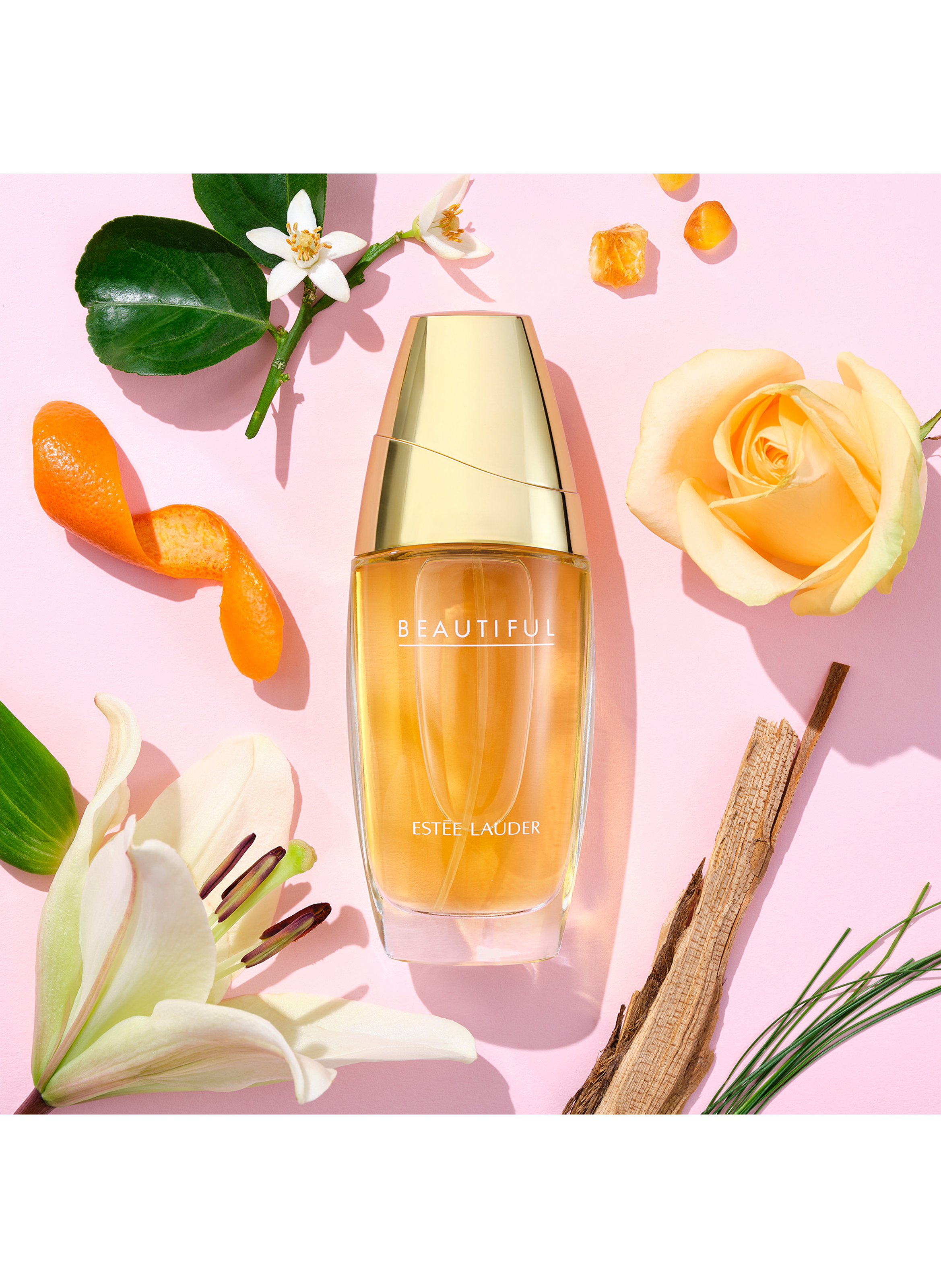 Eau de parfum - Beautiful ESTÉE LAUDER No color